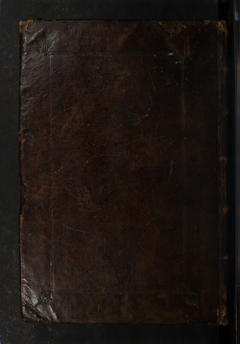 No text description is available for this image