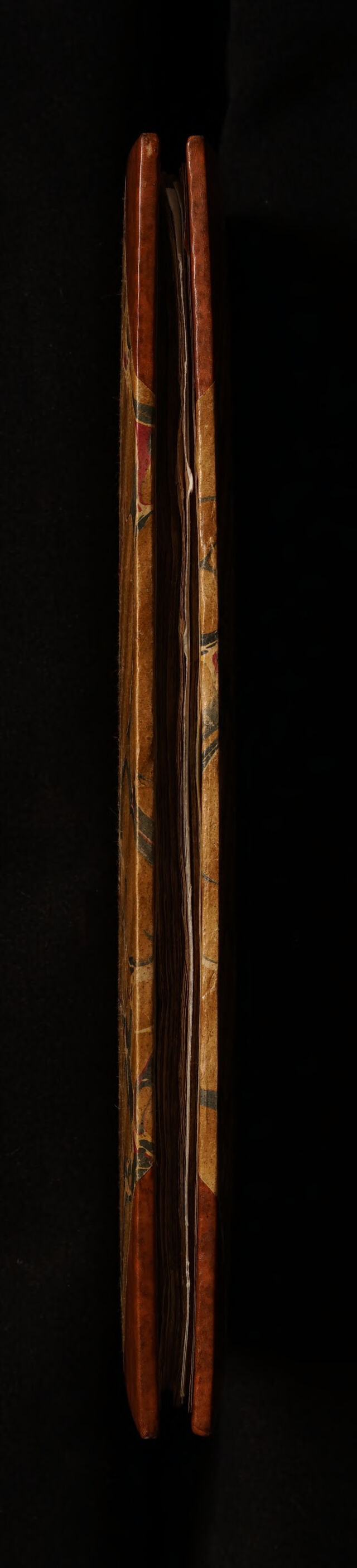 No text description is available for this image