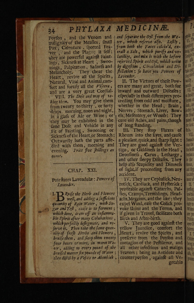 ./ a rates a4 CCP Poyfon , and talignity of the Meafles, fmall Pox, Calenture , {potted Fea- ver’ ‘and the Plague it felf: shey are powerful againft Faint- ings, SicknefSat Heart , Swoo- nings, Palpitation, Sadnefs and Melancholy. They chear the Heatt , revive all the Spirits, ‘Natural, Vital and Animal,com- furt and fortify all the Vifcera, and are a very great Cordial. VILI. The Dofe and way of ta- king them. You may give them from twenty to thirty ’, or forty ‘drops. morning, noon and night, in a glafs of Ale or Wine; or they may be exhibited in the fame Dofe and Vehicle in any Fit of Fainting , Swooning or ‘Sicknefs of the Heart,or Stomach : Outwardly bath the parts affe- €ed with them, morning and evening. Price five fhillings an OUNE? . CHAP. XXI. Poteftates Lavendule : Powers of Lavender. I. Ruife the Herb and Flowers well, and adding a fufficient quantity of Rain Water, with Su- 5 gar andYeft , cause it to ferment ; which done, draw off an inflamma- ble-Spirit after many Cohbobations , sbich perfectly deflegmate, and re- ~ ferveit. Then take the fame quan- “tity of frefh Herbs andFlowers , bruifetbem, and fleep them twenty four hours cr more, in warm Wa- ter, adding to every pound of the bruifed matter fix pounds of Water ; then diftil by a Vefics or Alembick , fa ee KEEN ED ter, which referve alo.’ Laftly , tratt a Salt, which purify and vo- latilize, and mix it with the before referved Spirit and Oyl, which unite by digeftion , Circulation and Di- Lavender. Il. ‘The Virtues ef thefe Pow- ers are many and great, both for inward and outward Difeafes ; efpecially in thofe diftempers pro- ceeding from cold and moifture , whether in the Head; Brain , Nerves’, Stomach, Liver, Bow- cure old Aches, and of long ftanding. ll. -They ftop Fluxes of Rheum into the Eyes, and caufe a pleafant quick,and fharp fight : pains,though tigo,, or Giddinefs inthe Head , Droufinefs , Carus, Lethargy , and other fleepy Difeafes. They help alfo Stupidity and Dimnefs of fight,if proceeding from any accident. 1V. They are Cephalick, Neu- rotick, Cardiack, and Hyfterick ; profitable againft Catarrhs, Pal- fies, Cramps, Tremblings, Head- achs,Megrims, and the like ; they expel Wind, eafe the Colick,pro- voke Urine and the Terms, and if given in Travel, facilitate both Birth and After-birth. ae V. They-are good againft the’ yellow Jaundice, comfort the preferve from the Poyfon and contagion of the Peftilence, and. all other infeétious and malign Feavers ; being an Antidote and getable heat, 20 fothey ie {cent clear the: the Sen tention 2 m the thence, ant Hy