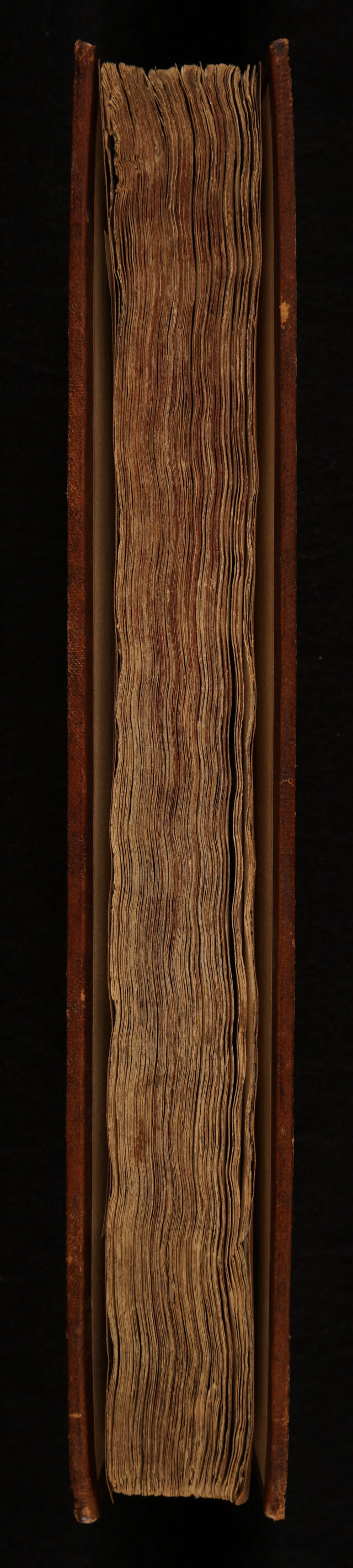 digitised image 3
