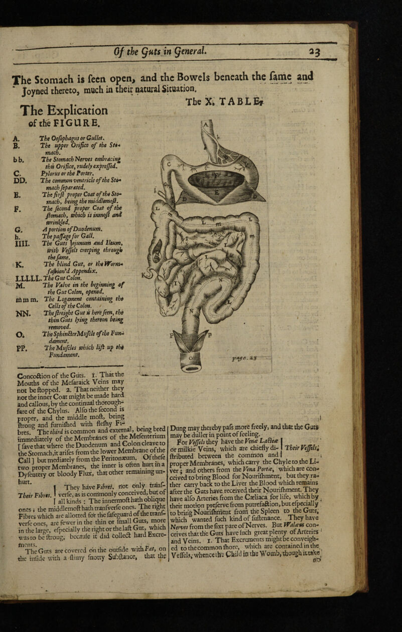 The Stomach is fecn open, and the Bowels beneath the ftmc and * Joyned thereto, much in their natural Situation. . TheXiTABLBf The Explication of the FIGURE. A. The Oejbphagus or Gullet, B. The upper Orifice of the Ste^ mach. b b. The Stomach Nerves embracing this Orifice^ rudely expreffed. C. pylorus or the Porter, DD. The common ventricle of the Sto^ mach Jeparated. E. Thefirfi proper Coat of the Sto^ machy being the middlemofi. F. The fecond proper Coat of the fiomach, which is imnoji and wrinkled. G. ^ portion of Duodenum. h. The parage for Gall. iin. The Guts ]ejunum and lleutn, with Vejfeis creeping through thefame. K, '^be blind Guty or the Worm- fajltion'^d Appendix. LLLLL* The Gut Colon. Jrt. The Valve in the beginning of the Gut Colony opened. nil mm. The Ligament containing the Cells of the Colon. NN. Tkfreight Gut is heiefeeriy the thin Guts lying thereon being removed. Oi Tihe SphinbierMuJcle of the Fun¬ dament. PP, TheMufcles which lifi up thi Fundament. Concoftion of the Giits. i. That the Mouths of the Mefaraick Veins may not beftopped. 2. That neither they nor the inner Coat might be made hard and callous, by the continual thorough¬ fare of the Chylus. Alfo the lecond is proper, and the middle moft, bemg ftrong and furnifhed with fleftiy ri- ' . bres. The third is common and external, ^mg bred immediately of the Membranes of tte Mefentenum r lave that where the Duodenum and cleave to the Stomach,it arifes from the lo'Wft Membrane of the Call 1 but mediately from the Peritonaeum. Of thele two proper Membranes, the inner is often hurt in a Dylentery or bloody Flux, that other remaining un- *^'^*^'* I They have n'ot dnly tranf- Their Fibres. I verfe, as is commonly conceived, but of I all kinds : The innermoft hath oblique ones i the middlemoft hath tranfverfe ones. TJe right Fibres which are allotted for the fafeguard or the tranl- verlh ones, are fewer in the thin or fmall Guts, more in the large, efpecially the right or the laft Gut, which wnsto be ftroug, bccotufe it did Collect hitdExcre- The Guts are covered on the outftde wdthF^^, on th'C xiriidc with finny fnotty th^t th£ Dung may thereby pafs more freely, and that the Guts may be duller in point of feeling. For they hiwe the Vena LaSlex I . ’ ormilkie Veins, which are chiefly di- I Their VeJfeJs; ftributed between the Common and 1 i proper Membranes, which carry the Chyle to the Li¬ ver ; and others from the Vena Portay which are con¬ ceived to bring Blood for Nourilhment, but they ra¬ ther carry back to the Liver the Blood which remains after the Guts have received their Nourifhment. They have alfo Arteries from the Caeliaca for life, which by , their motion prelervefrom putrefaftion,but efpecially to bring Nourilhiiient front the Spleen to the Guts, which wanted fuch kind of fuftenance. They have Nerves from the fixt pare of Nerves. But WalatH con¬ ceives that the Guts have fuch great plenty of Arteries ' and Veins. I. That Excrements might be conveigh- ed to the common ihore, which are contained in the Veffels.* whence ih'e Child in ibe Womb, though ittakc^