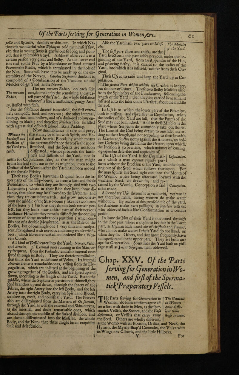 fella and Hecufiti^ skinlefs or skin-cut. In which Na¬ tions tis wonderful what Vejlingus told me himfelflaw, viz. that in young Bop it grows out fo long and poin¬ ted, that it refembles a tayl. Htldanw obfeived it in a certain perfon very great andfleftiy. At the lower end it is tied to the Nut by a Membrane or Band termed Vrantim die Bridle, which is terminated in the hole of the Nut. Some will have it to be made up of the ex¬ tremities of the Nerves. Carolus Stefhanus thinks it is compofed of a Combination of the Tendons of the Mulcles of tiie Yard, and a Nerve. The two nervous Bodies, on each fide The nervous one,do make up the remaining and grea- Bodies. teft part of theYard; the whole fubftance whereof is like a moft thick fpungy Arte¬ ry, ftuffed with flelh. For the fubftance thereof is twofold, the firft exter- nalj compadt, hard, and nervous; the other internal, fpungy, thin, and hollow, and of a dark-red colour cn- clining to black; and therefore Vefalim faies tis filled with a great deal ofblack Blood, like a Budding. I Now this fubftance is rare and pory,* that it may be filled with Spirit, and Ve¬ nal and Arterial Blood; by which means Br«nion of I the nervous fubftance thereof is the more tbeYard fro- | ftretched, and the Spirits are not foon cesds. \ difllpated, whence proceeds the hard- I nels and ftifthels of the Yard, not lo much for Copulations fake, as that the man might Quirt his feed right out as far as might be, even to the Orifice of the Womb, after the Yard hath been moved jn the female Privity. Thefetwo Bodies have their Original from the lo¬ wer parts of the Hip-bones, as from a firm and ftable Foundation, to which they areftrongly tied with two Ligaments; where in their Rife they keep fome di- ftance, that place may be allowed to the Urethra i and then they are carried upwards, and grow into one a- bout the middle of the Share-bone (like the two horns of the letter y ) but fo as they do not both remain per- feft, but they loofe near a third part of their nervous fubftance. Howbeit they remain diftindbjby the coming between of fome membranous partition ( which con- fifts not of a double Membrane, as at the Rife of the Bodies, but of one fingle one ) very thin and tranljta- rent, ftrengthned with nervous and ftrong tranfverfe fi - bres; which fibres are ranked and ordered like a Wea¬ vers Comb. All kind ofVeJJels enter into the Yard, 'Nerves, Veins, and Arteries, i. External ones running in the Skin,ve¬ ry frequent, fpm the Pudenda, andalfo internal ones fpred through its Body. They are therefore miftaken, that think the Yard is deftitute of Veins. Its internal Arteries ^re two remarkable ones, arifing froih the Hy- pogaftrica, which are inferred at the beginning of the Stowing together of the Bodies, and are fpred up and own, according to the length of the Y ard. But in the middle, where the Septum or partition is thinneft,they lend branches up and down, through the fpaces of the Fibres, the right Artery into the left Body, and the left Artery into the right Body, carrying Spirit and Blood, to blow up, eredb, and nourilh the Yard. The Nerves alfb are diffeminated from the Marrow pf Os facrum, through the Yard,as well the external and Skin-nerves, as the internal, and thofe remarkable ones, which alcend through the middle of the forked divifion, and are thence difleminated into the Mufcles, the whole I Body, and the Nut i that there might be an exquilite ' fenfe and dele(5l;aiicin; . ’ 1 Alfo the Yard hath two pare of Muf t The Mujeks ^ n ^ the Yard, Lhefirjtfare Ihort and thick, are the [ Yard Erejftors > this parearifes nervous, under the be¬ ginning of the Yard, from an Appendix of the Hip, and growing flelhy, it is caivicd to the bodies of the Yard, into which it is inferted, not far from their Ori¬ ginal. Their U/e is toraife and keep the Yard up in Co¬ pulation. feeondPare dfbich widens the\Jrethra is longer, but thinner or leaner. Thcfc two flelhy Mufcles arife from the Sphintfter of the Fundament^ following the length of the Yard : then they are carried beneath,and inferted into the Tides of the Urethra, about the middle thereof. Its Uye isto widen the lower part of the Pifs-pipe, both in pififing, and efpecially in Copulation, when the bodies of the Yard arc full, that the Egrefs of the Seed may not be hindred. And in thefe Mufcles is the place where Surgeons do commonly take outftones. The Line of the Cod being drawn to one fide, accor¬ ding to their length,and not according to their breadth as Marianus fanSlus notes againft the Ancients, an hol¬ low Catheter being thruftinto the Ureter, upon which, the Incifion is to Be made, which manner of cutting Aquafendem deferibes and approves of. The U/e of the Yard is for Copulati- I Copulation. on ; which a man cannot rightly per- 1 form without the Eredion ofhis Yard, and the fquir- ting out of the Seed which follows thereupon. For the man fquirts his Seed right out into the Mouth of theWomo, where being afterward joyned with the \vomans Seed, an drawn iuj and re¬ tained by the Womb, Conception is faid Conception. to be made. A lecondary UT^ thereofisto voidurih, yet was it not therefore made, feeing women do make w'ater without it. By reafon of this twofold ufe of the yard, the Arabians make two paflages, as Vefalius tells us, who obfervedluch alike Conformation in a certain- perfon. In fome the Nut of their Yard is not bored through, in the fore part where it ought to be, but in the lower parr, as Hof man hath noted out of Ariflotle and Paulus, who cannot make water if their Yard do not ftand, or when they fit. Others, and that more frequently,have it imperforated in the upper part. They ate both un¬ apt for Generation. Somtimes the Yard hath nopaf- fage at all as \ulius Obfe^uens hath obferyed. Chap. XXV. Of the TP arts fervingfor (feneration in JVo^ men, and firjl of the Sperma^ tic^raparatoiy Vejfels. T He Parts fervmg for Generation in * Women, do fome of them agree af¬ ter a fort with thofe in Men, as the fper- matick VefTels, the Stones, and the Vafa The Genitalf in Women quite diffe¬ rent from deferentia, orVeflels that carry away I thofe in men. the Seed. Others are wholly different, | as the Womb with its Bottom, Orifice, and Neck, the Hymen, the Myrtle-lhap’d Caruncles, the Vulva with its Wings, the Clitoris, and the little Hillocks. V For