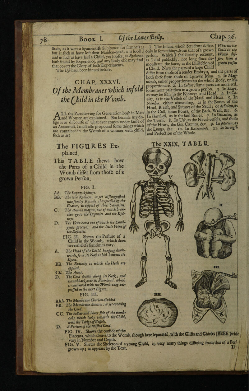 Book^ 1- ftrait, as it were a ligamentifh Subltancc for firmnels, but in fuch as have loft their Maiden-head, it ^ loole, and in fuch as have had a Child, yet loofer; as Riolanus hath found by Experience, and any body elie may tina that covets the Glory of fticit Experiments. The U72 hath been hinted before. CHAP. XXXVI. ' of the Membranes yphich infold the Qhild in the JVomb> All the Parts lerving for Generation,both in Men and Women are explained. But becaufe my de- Egn is to difeourfe of what ever comes under knife of an Anatomiftjl muft alfo propound feme things which are contained in the Womb of a woman with child, fuch as are The FIGURES Ex¬ plained. This TABLE fhews how the Parts of a Child in the Womb differ from thofe of z grown Perfon. FIG. I. AA. The Deputy-kidneys. The true KiidrieySy atyet dijiingtiijhed into ftmdry Kernels, tl exprejjed by the Graver, in refpehi of their Situation. C. The Arteria niagna, out of which bran¬ ches go to the Deputies and the Kid¬ neys. D. The Vena cava out of which the 'Emtil- gents proceed, and the little Veins tf the Deputies. FIG. II. Shews the Pofture of a Child in the Womb, which does nevcrthelefs fomtimes vary. A. The Head of the Child hanging down¬ wards, Jb as its Nofe is hid between its Knees. BB. The Buttocks to which the Heels arh applied. CC. The Arms. D. The Cord drawn along its 'Necl{_, and turned back^over its Fore-head, which is continued with the JVomb-cake, eX* prejfed in the next Figure. FIG. III. AAA. The Membrane Chorion divided. BB. The Membrane Amnios, as yet covering the Cord. CC. The hollow and inner fide of the womb- cake which looks towards the Child, with the Twigs of V^ffels. D. ^ Portion of the twified Cord. FIG. IV. Shews the outfide of the Wherein the Child in the Womb dif¬ fers from a grown perfon I. The Infant, whofeStrudure differs only infome things,from chat of a grown perfon. Which 1 (hall briefly recount, as I did publickly, not long fince de- monftrate the fame, at the Diffedion ot a Child. Now the parts of a large Child differ from thofe of a tender Embryo, and the parts of both thefe from thofe of a grown Man. l. In Mag;- nitude, either proportionate to the whole Body, or lets proportionate. 2. In Colour, feme parts are more red, fome more pale then in a grown perfon. 3. In Shape, asmaybefeen in the Kidneys and Head. 4. lnC4- vity, asinthe Veffelsof theNavfl and Heart. L- Number, either abounding, as in the Bones of the Head, Breaft, and Sutures of the Skull; or deficient, in the Call, feme Bones, of the Back, W rift, 8cc. 6. In Hardnefs, as in the faid Bones. 7. In Situation, as the Teeth. 8. In \Jfe> as the Navil-veffels, and thole of the Heart, the Gut Cxcum, &c. 9. InMmon, as the Lungs, &c. 10. In Excrements. II. In Strength and Perfedion of the Whole. The XXIX. table: JL TTTt m placenta, which dcavs to the Womb, thougji here feparawd, with the Clifts and Chinks [£££E ]whic ^ Shews theSkeStonof ayoHngClald, in vety many things differing from that of a^rf grown up i as appears by the Text, '