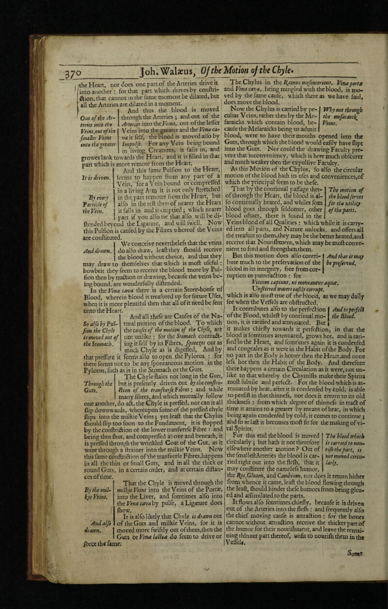 7° I'the Heart nor does one part of the Arteries drive it The Chylns in the I{amus tr.efemeriws, Vena porta ''into another • for that part which drives by conftri- znd Vena cava, being mingled with the blood, ismo- aion, that cannot in the fame moment be dilated, but ved by the fame caufc, which there as we have faid, all the Arteries are dilated in a moment. | does move t^ blood. And thus the blood is moved i Mowahe Chylus is carried by pe- through the Arteries ; and out of the! culiar Veins, rather then by the Me- y^rterja into the Veins, out oftheleifer' faraicks which contain blood, be- Veins into the greater and the Vena ca-! caulethe Mefaraicks being to admit vaitklf, the blood IS moved alfo by' blood, w’ere to have their mouths opened into the Impulfi. Forany Vein beingbound Guts, through which the blood would eafily have flipc in living Creatures, it falls in, and' into the Guts, ISlor could the drawing Faculty pre- Out o f the Ar¬ teries into the Veins,out of the f nailer Veins into the eater Why not through the mejaraick Veins. groweslank towards the Heart, and it is filled in that part which is more remote from the Heart, And this famePulfion to the Heart, feems to happen from any part of a It is driven. By every Tarticle of the Vein. vent that inconvenicncy, which is here much obfeurer and much weaker then the expulfive Faculty, As this Motion of the Chylus, fo alfo the circular motion of the blood hath its ufes and conveniences,of Vein, for a Vein bound or comprefTcdi which the principal feem to be thefe. in a living Arto it is not only fttretched | That by the continual palTage ther- in the part remoter fiom the Heart, but of through the Heart, the blood is al- alfo in the reft there of nearer the Heart it falls in and is emptied; which nearer part if you alfo tie that alfo will be di- ftended beyond the Ligature, and will fwcll. Now this Pulfion is caufed by the Fibres whereof the Veins are conftituted. \Ve conceive neverthelefs that the veins And drawn, do alio draw, leaftthey fhould receive the blood without choice, and that they may draw to themfelves that which is moft ufeful; bowbeit they feem to receive the blood more by Pul¬ fion then by traftion or drawing, becatife the Veins be¬ ing bound, are wonderfully diftended. In the Vena cava there is a certain Storc-houfe of Blood, wherein blood is treafured up for future Ufes, W'hen it is more plentiful then that all of it need be lent unto the Heart. And all thefe are Caufes of the Na¬ tural motion of the blood. To which the canfis of the motion of the Chyle, arc not unlike : for the Stomach contraft- ing it felf by its Fibres, ffueeT^es out as much Chyle as is digefted. And by thatpreffure it leemsalfo to open the Pylorus ; for there feems not to be any, fpontaneous motion in the Pylorus, fuch as is in the Stomach or the Guts. The Chyle ftaies not long in the Guts, The motion of the bloodferves for the utility of the farts. fo continually heated, and whiles fom blood goes through feldomer, other blood oftner, there is found in the Veins blood of all Qualities : which whileit iscarry- edinto all parts, and Nature unlocks, and offers all the treafure to them,they may be the better heated,and receive that Nourilhment, which may be moft conve¬ nient to feed and ftrengthenthem And that it may beprejerved. So alfo by Pul fion the Chyle is moved out of the Stomach. But this motion does alfo contri¬ bute much to the prefervation of the blobd in its integrity, free from cor¬ ruption or putrefadfion : for Vttium cafiunt, ni moveantur aqua. Unfirred waters eafily corrupt. which is alfo moft true of the blood, as we may daily fee when the Veffels are obftrudfed. Andtoperfehi the Blood. It contributes alfo to the perfedfion of the Blood, whileft by continual mo¬ tion, it is ratified and attenuated. But ^ it makes chiefly towards it perfcftionj in that the blood is fomtimes attenuated, grows hot, and is rati¬ fied in the Flearr, and fomtimes again it is conderifed and congeales as it were in the Habit of the Body. For no part in the Body is hotter then the Heart,and none lefs hot then the Habit of the Body. And therefore there happens a certain Circulation as it were, not un¬ like to that whereby the Chymifts make their Spirits Through the but is prefemly driven out moft fubtile andperfedt. For the blood which is at- Guts.^ (lion of the tranfverfePibres: and while , tenuated by heat, after it is condenfed by cold, is able many fibres, and which mutually follow to perfift in that thinnefs, nor does it return to its old one another, do aft, the Chyle is prefled, norcan itall ,thicknefs ; from which degree of thinnefs intradfof flip downwards, whereupon fome of the preffed chyle ! time it attains to a greater by means of hear, in which flips into the milkie Veins; yet leaft that the Chylus | being again condenfed by cold, it comes to continue ; fliould flip too foon to the Fundament, it is flopped ^ and fo at laft it becomes moft fit for the making of vi- by the conftriftion of the lower tranfvcrfe Fibre : and tal Spirits. being thus fhut, and compreffed above and beneath, it For this ehd the blood is moved The blood which is preffed through the wrinkled Coat of the Cut, as it; circularly; but hath it not therefore is carried to non- were through a^ftrainer into the milkie Vems. Now jelfewhere another motion ? Out of | rip the part, is this fame conftriftion of'the tranfverfe Fibres,happens 1 the fmalleftArteries the blood is car- ill all the thin orfmallGuts, and in all the thick or | ried right out into theflclh, that it round Guts, in a certain order> and at certain diftan- ces of time. By the mil- Ife Veins. And alfi drawn. fbree th« fame. That the Chyle is moved through the milkie Veins into the Veins of thePortx, into the Liver, and fomtimes alfo into t\\tVenacavahy pulfe, a Ligature does fhew. It is allb likely that Chvle is drawn out of the Guts and milkie Veins, for it is moved more fwiftly out of them,then the Guts or Vena laiiea do feem to drive or not moved circti* may conftitute the namelefs humor, the Bps,Glutek, and Cambium, nor does it return hither from whence it came, leaft the blood flowing through the leaft, fliould hinder thefe humors from being gleu- ed and afifimilated tothe parts. It flows alfo fomtimes chiefly, becaufe it is driven out of the Arteries into the flelh : and frequently allb the chief moving caufe is attraftion : for the bones cannot without attraftion receive the thicker part of the humor for their nouiilhment, and leave the remai¬ ning^ thinner part thereof, unfit to nourilh them in the Veflels. Some