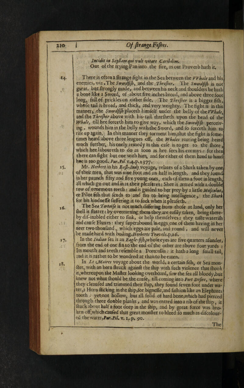Zio i Of flrangepiftes. * o 16. Incidit in Scyflam qui vult vitare C drib dim. Out of the trying Pan into the fire, as our Proverb hath it. There js often a ftrange fight in the Sea between the Whale and his enemies, viz .The Smrdfijh, and the (Threjher. The Smrdfijh is not great, blit ftrongly made, and between his neck and fhoulders he hath a bone like a Sword, of about five inches broad, and above three foot long, full of prickles on either fide. The Threjher is a bigger fifh, whole tad is broad, and thick, and very weighty. The fight is in this manners the Smrdfijh placeth himfelf under the belly of the Whale^ and the Threjher above with his* tail threiheth upon the head of the Whale, till bee forceth him to give way, which the Smrdfifi perceiv¬ ing, wounds him in the belly with the Sword, andfo forceth him to rife up again. t In this manner they torment him,th.u the fight is fome- titnes heard above three leagues oft the Whales roaring being heard much further, his onely remedy in this cafe is to get to the fhore, which hee laboureth to do as loon as hee fees his enemys .* for then there can fight but one with him, and for either of them hand to hand h@e is too good. Fur, 1377. Mr. Herbert in his Safi-Indy voyage* relates of a Shark taken by one, of their men, that was nine foot and an half in length, and they found! in her paunch fifty and five young ones, each of them a foot in length, all which go out and in at their pleaftres,: Shee is armed with a double irow of vesiemous teeth: and is guided to her prey by a little MufealuSy or Pilot fifh that feuds to \ and fro to bring intelligence , the Shark for his kindnefie fuffering it to fuck when it pleafeth. The Sea Tertoife is not much differing from thofe at land, only her (hell is flatter: by overturning them they are eafily taken, being there¬ by dif-inabled either to fink, or help themfelves: they tafle waterifh I and cattfe Fluxes: they fuperabound in eggs3one of them having in her I neer two thoufand, which eggs are pale, and round , and will never be made hard with h$ding.Herberto Travels.$.2 6. In the Indian fea is an Edgle-fiJhjwhok eyes are five quarters afunder, from the end of one fin to the end of the other are above four yards : Its mouth and teeth refemble a Portcullis .* it hath a long fmall tail, and it is rather to be wondred' at than to be eaten. In Le CMaires voyage about the world, a certain fifh, or Sea mon¬ ger, with an horn ftruck againft the fhip with fuch violence that fhook , it,whereupon the Mafter looking overboard, faw the fea all bloody,buc I knew not what Ihould be the caufe, till.coming into Port Hefire, where they cleanfed and trimmed their fhip, they found feven foot under wa¬ tery Horn flicking in the lhip,for bignefle,and falhionlike an Elephants ! tooth .• yet;not hollow, but all folid of hard bone,which had pierced through three double planks, and was entred into a rib of the fhip, it ftuck about half afoot deep in the fhip, and by great force was bro¬ ken oft which caufed chat great monfter to bleed fo much as difcolour- ed the water,i,«r.i>/7. v. 1, p. go. The ~ ~ - ' . - —-—-—j