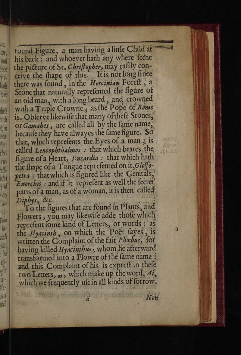 | | | ca, | and | doe | ve | hat Une his back: and whoever hath any where fcéne the picture of St. Chriffopher, may ealilÿ con- ceive the fhape of this. Itis not long fince there was found, inthe Herciniam Forelt , a Stone that naturally reprefented the figure of an old man, with along beard, and crowned ot Gamabes , ate called all by the fame name, becaufethey have alwayes the fame figure. So that, which reprefents the Eyes of a man ; is called Leacophthalmos : that which beares the figure ofa Heart, Excardia : that which hath the fhape of a T ongue reprefented on it, Gloffo- Enorchis : andif it reprefent as well the fecret parts of a man, as of a woman, itis then called EN RE TI EM Sa To the figures that are found in Plants, and Flowers , you may likewife adde thofe which. reprefent {ome kind of Letters, or words :'as the Hyacinth, on which the Poét fayes , is written the Gomplaint of the fair Phæbus, for having killed Hyacenthws , whom he afterward and. this Complaint of his is expreft in thefe two Letters, «#, which make up the word, 42, Tiink clad baise bared SeSSita ASA ato € EE OSS: ee ee ee ee once sara peste acetet aisés SS oe SEE LE ed ad nd Ah ed RÉ a we db mm Libres ersess anse es ain casa eee 8e pe eee