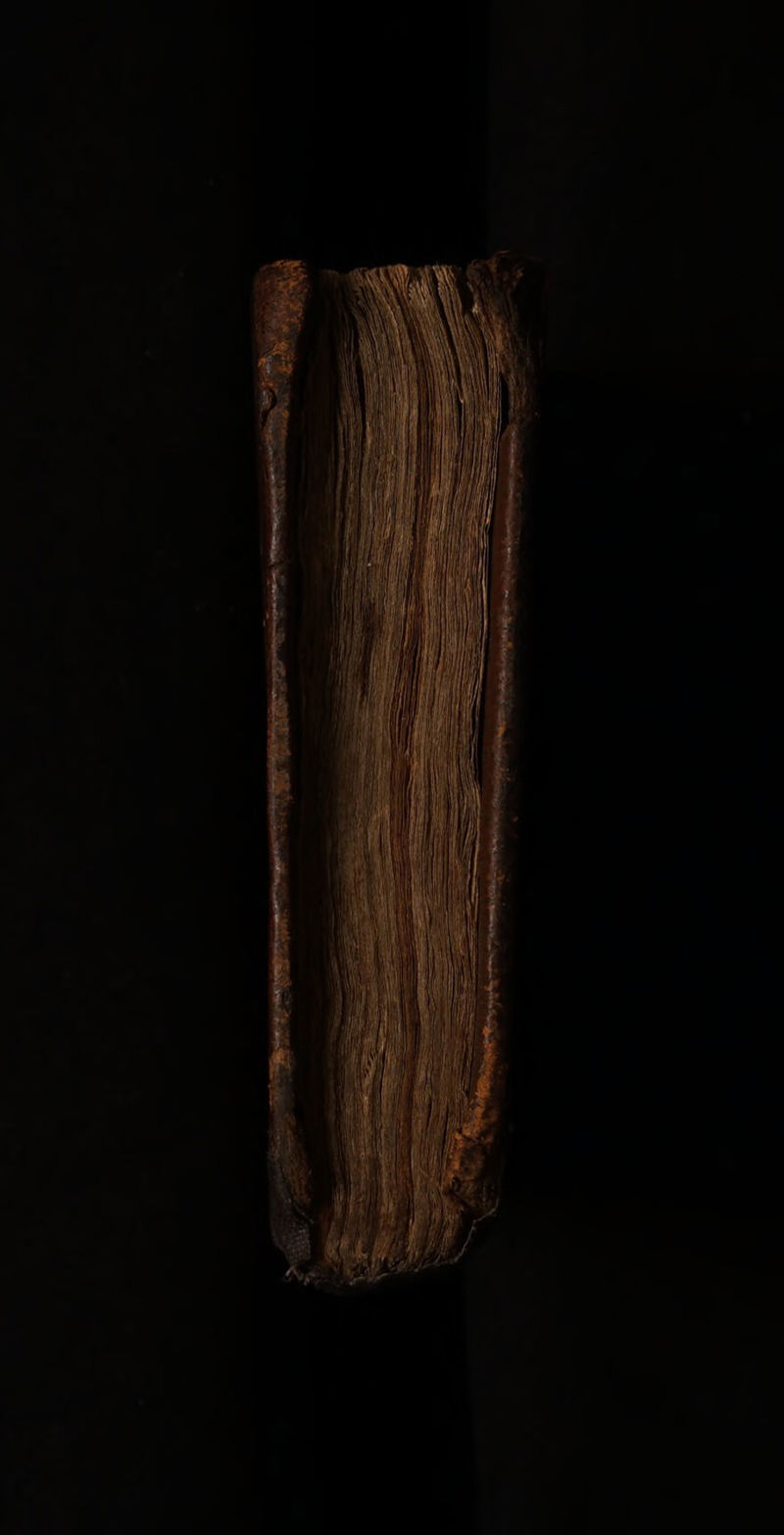 No text description is available for this image