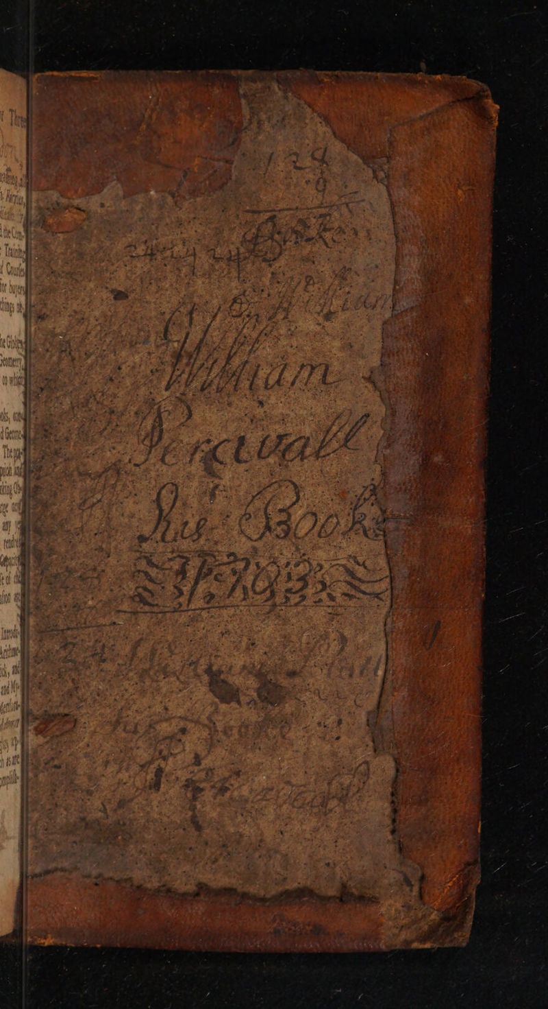 No text description is available for this image