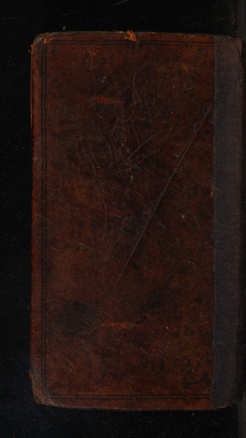 met ice Ah ae + : uy” >