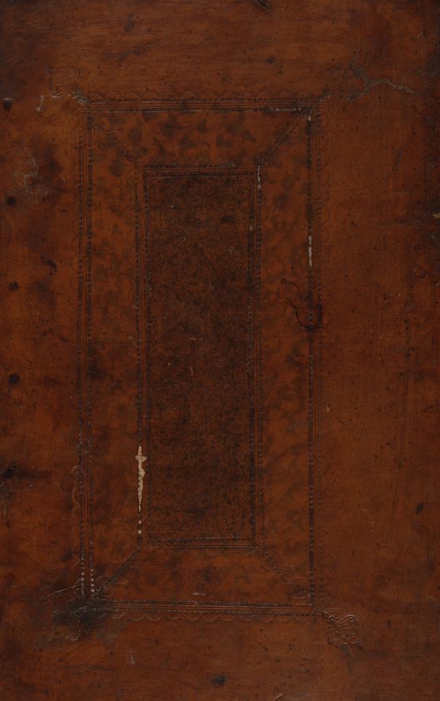 digitised image 1