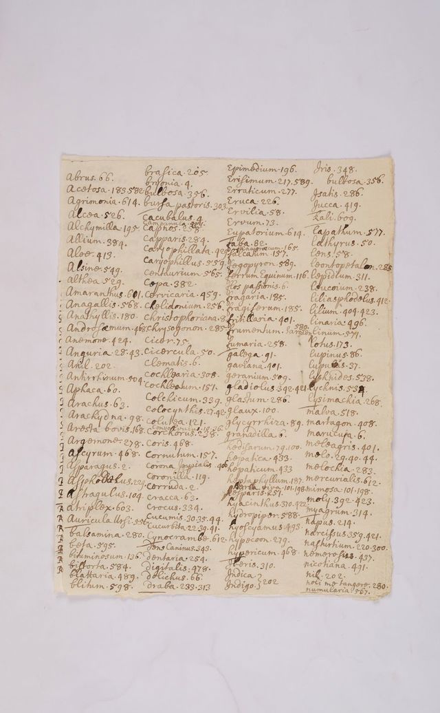 digitised image 3
