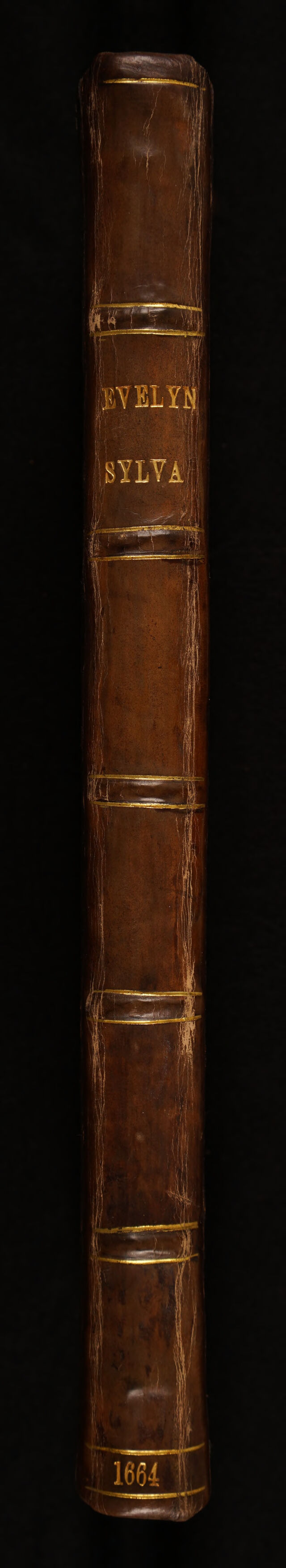 No text description is available for this image