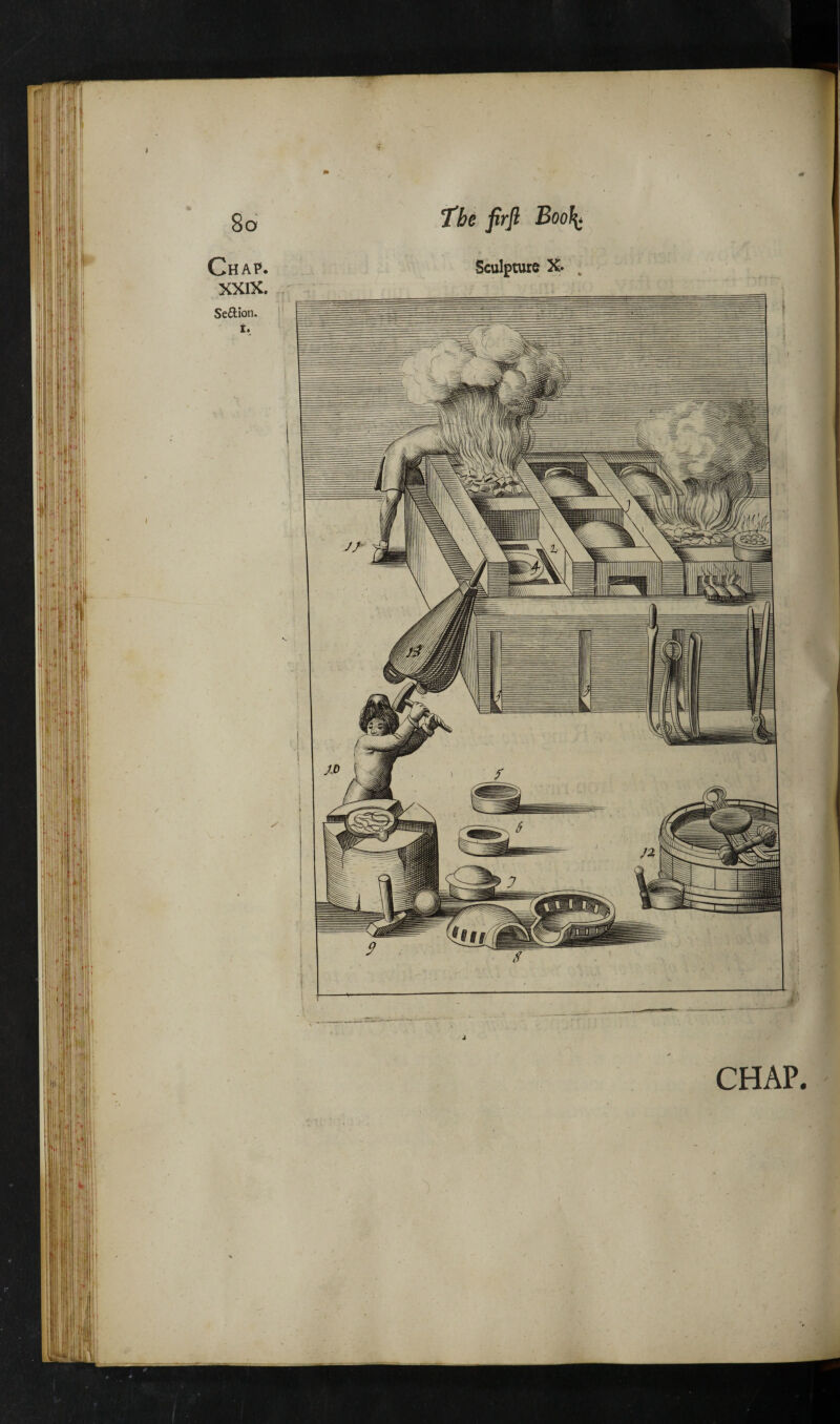 I CHAP. 8o Chap. XXIX. Seftion. i. T'he firfl Bool^ Sculpture X. „ !