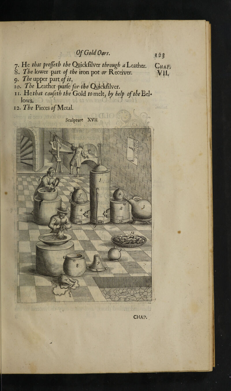 7. He that prejfeth the Quickfilver through a Leather. Cha# 8. The lower part of the iron pot or Receiver. VII* 9. The upper part of it. 10. The Leather purfe^r the Quickfilver. n. H Qthat caufeth the Gold fflmelt, by help of the Bel¬ lows. 12. The Piecesfl/Metal. . Sculpture XVIi CHAP.