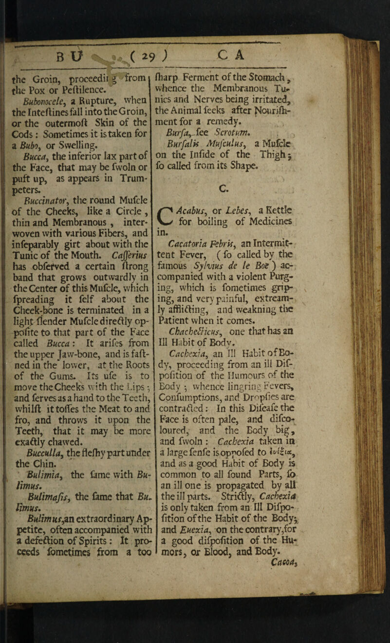 the Groin, proceedii g from the Pox or Pe(tilenee. Bubonocele, 2 Rupture, when the Inteflines fall into the Groin, or the outermoft Skin of the Cods: Sometimes it is taken for a Bubo, or Swelling. Bucca, the inferior lax part of the Face, that may be fwoln or puft up, as appears in Trum¬ peters. Buccinator, the round Mufcle of the Cheeks, like a Circle , thin and Membranous , inter¬ woven with various Fibers, and infeparably girt about with the Tunic of the Mouth. Cafferius has obferved a certain ftrong band that grows outwardly in the Center of this Mufcle, which fpreading it felf about the Cheek-bone is terminated in a light flender Mufcle diredly op- polite to that part of the Face called Bucca: It ariles from the upper Jaw-bone, and is faft- ned in the lower, at the Roots of the Gums. Its ufe is to move the Cheeks with the Lips •, and ferves as a hand to the Teeth, whilft it tofiTes the Meat to and fro, and throws it upon the Teeth, that it may lie more exadly chawed. Bucculla, the flefhy part under the Chin. Bulimia, the fame with Bu- limus. Bulimafis, the lame that Bu~ limus. Bulimiisjm extraordinary Ap¬ petite, often accompanied with a defedion of Spirits: It pro¬ ceeds fometimes from a too Hiarp Ferment of the Stomach , whence the Membranous Tun¬ nies and Nerves being irritated, the Animal feeks after jNouriih- ment for a remedy. Burfa,- fee Scrotum. Bur falis Afufculus, a Mufcle on the Infide of the Thigh 3 fo called from its Shape. C. CAcabus, or Lebes, a Kettle for boiling of Medicines in. Cacatoria Febris, an Intermit¬ tent Fever, ( fo called by the famous Sylvius de le Boe ) ac¬ companied with a violent Purg¬ ing, which is fometimes grip¬ ing, and very painful, extream- ly affiiding, and weakning the Patient when it comes. Chachellicus, one that has an III Habit of Body. Cachexia, an ill Habit of Bo¬ dy, proceeding from an ill Dif- pofition of the Humours of the Body *, whence lingring Fevers, Confumpti-ons, and Dropfies are contraded: In this Difeafe the Face is often pale, and difeo- Ioured, and the Eody big, and fwoln : Cachexia taken in a large fenfe isoppofed to and as a good Habit of Body is common to all found Parts, fo an ill one is propagated by all the ill parts. Stridly, Cachexia is only taken from an III Difpo- fition of the Habit of the Body; and Euexia, on the contrary,for a good difpofition of the Hu¬ mors, or Blood, and Body. Caeca.