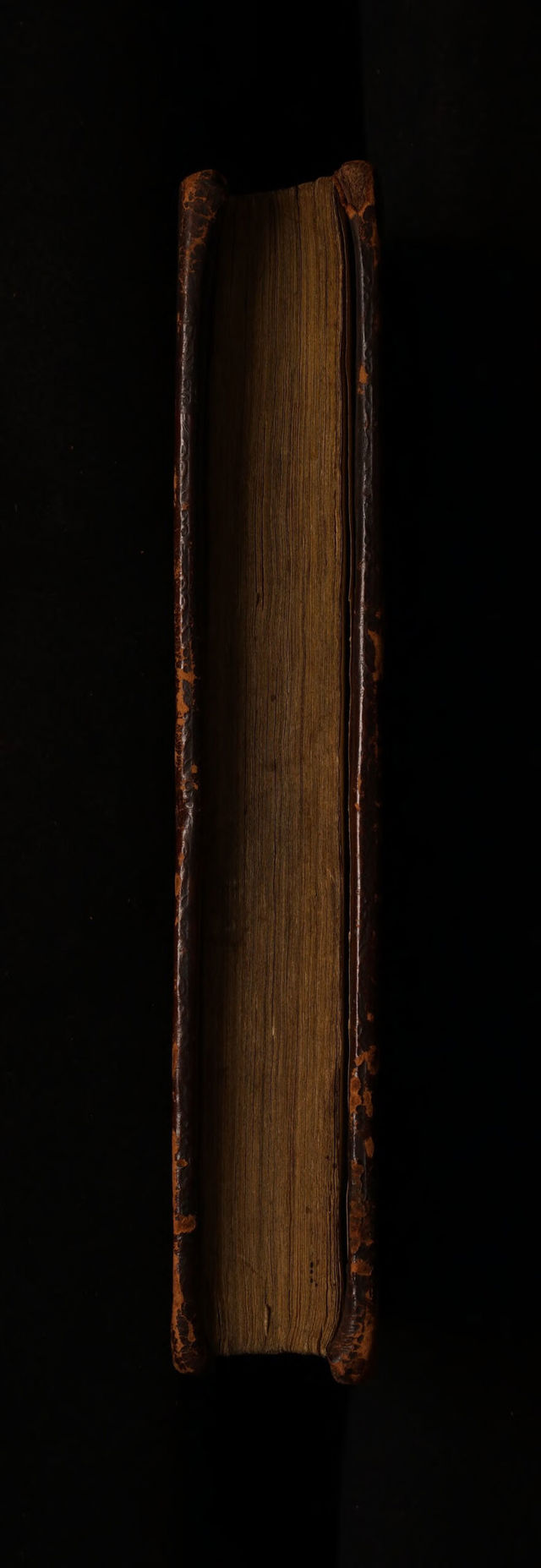 No text description is available for this image