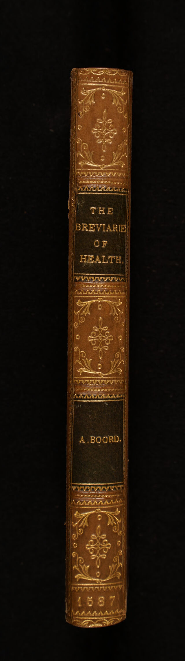 No text description is available for this image