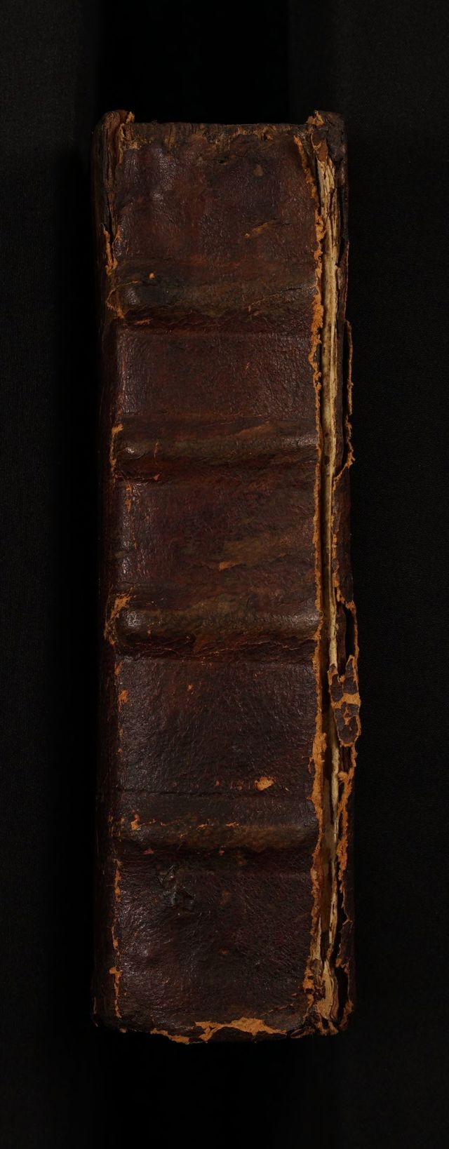 digitised image 2