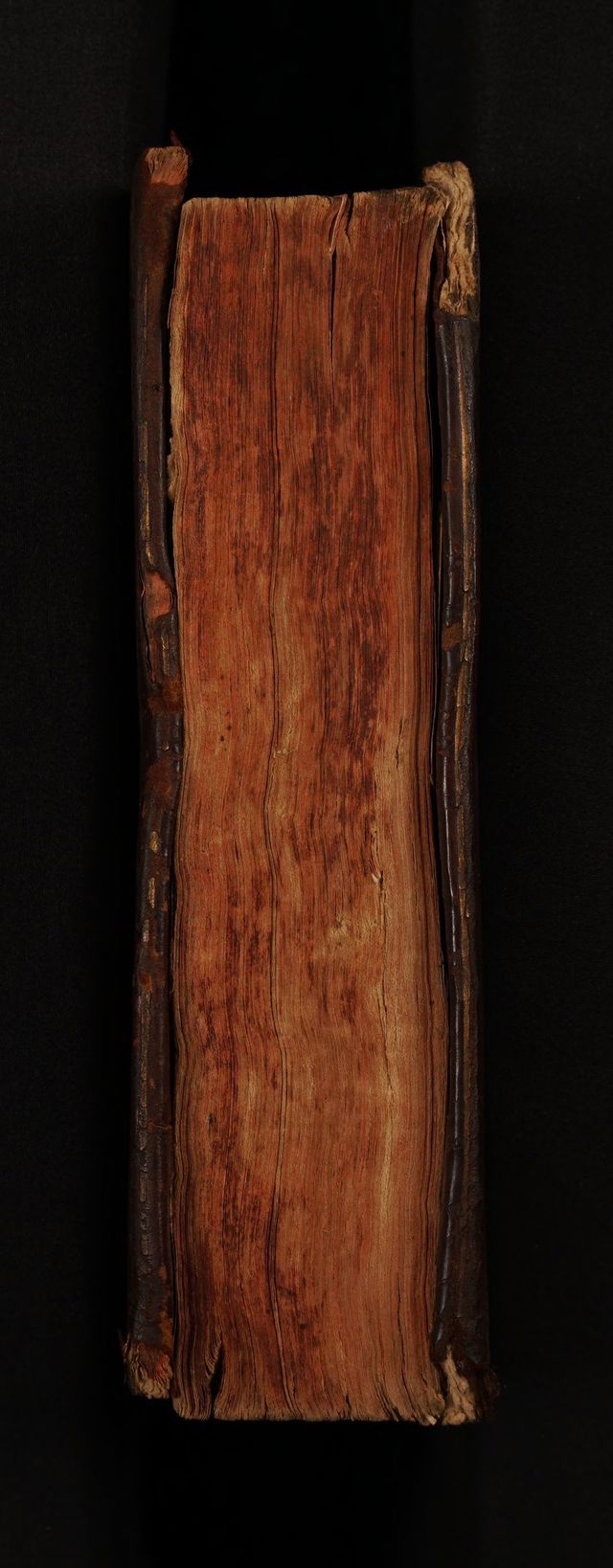 digitised image 3