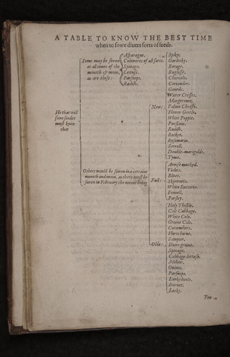 He that will fowefeedes mufi know s that A TABLE TO KNOW THE BEST TIME when to fowe diuers forts of feeds- • * * !9AJparagus. - Spike* Coleworts of all forts. Gar lecke. \Spin age. Borage. ]\Lettufe. Bugloffe. Par/neps. Chcruile• \Radifh, Coriander. , \ Gourds. Water Greffes, Margerome. [New: < Palma Chnfli. Flower Gentle» White Pcppie. Pur fane. Radifh. Rocket. Rofemarie. Sorrell. Double-marigolds. • Tyme. An rife masked. Violets. % Blit es. Full : < Skfrworts. White Succorie. Fennell. - f Par fey. Holy Thiflle. Cols Cabbage• White Cole. Greene Cole. . Cucumbers. Flans home. i j Sampier. Olde : J Biers craine• ■ o Spin age. Cabbage-let tuje* Aidons. Onions. Parfiteps. Larks heels. Bur net l JLeeky. : x Ton \ Others would be fow en in a cert aine moneth and moon3 as there muf be< fowen in February the moone being