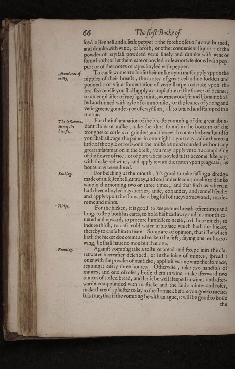 abundance of tnilkç. The inflamma¬ tion of the hreafls% 7 • . The firjl Booh of feed offennell and a little pepper : the forehoofesof a cow burned, and drunke with wine, or broth, or other conuenient liquor : orthe powder of erydall powdred verie finely and drunke with wine or lome broth :or let them eate of boyled colewoorts lèafoned with pep¬ per : or of the rootes of rapes boyled with pepper. To caufe women to loofe their milke ; you mud apply vppon the nipples of their breads j the rootes of great celandine lodden and pouned : or vfe a fomentation of verie Iharpe oxicrate vpon the breads : or elfe you (hall apply a cataplafme of the flower of beanes ; or an emplaider of rue,(age, mints, wormewood/ennell, branne boi¬ led and mixed with oyleofcammomile, ortheleauesofyoongand verie greene gourdes ; or of crayfilhes, all to braied and damped in a mortar. . ’ t For the inflammation of the breads comming of the great abun- Bthhw*. & ' Mickft* fomiting* dant dorc of rmlke , take the durt found in the bottom of the troughes of cutlers or grinders,and therewith couer the bread,and lb you lhallaffwage the paine in one night : you may adde thereto a little oftheoyleofrofes:or if the milke be much curded withoutany great inflammation in the bred, you may apply vntoitacaraplaifne oftheflowreofrice, orofpure wheat boyled till it become Iikepap, with thicke red wine, and apply it vnto the teates vpon plageats, as hot as may be endured. • . r For belching at the mouth, ids good to take fading a dredge madeofanife,fennell,caraway,and coriander feede : or elfe to drinke winein the morning two or three times, and that fuch as wherein hath beene boyled bay-berries, anife, coriander, and fennell leede: and apply vpon the domacke a bagfullofrue,wormewood, marie- rome and mints. ■ - rmi For the hicket, it is good to keepe ones breath oftentimes and long, to dop both his eares, to hold his head awry,and his mouth co- ueredand vpward, to procure himfelfeto neefe, to labourmuch, to indure third, to cad cold water in his face which hath the hicket, thereby to caule him to feare. Someare of opinion, thatif he which hath the hicket doe count and recken the fird, faying one or borro¬ wing, hefhallhauenomoebutthatone. Againd vomitingtakeatode of bread anddeepe it in the cla¬ ret water heereafter defcribed, or in the iuice of mintes, fpreadit ouer with the powder of madicke, applied warme vnto the domack, renuingit euery three houres. Otherwile , take two handfuls of mintes, and one ofroles, boile them in wine : take afterward two ounces of toded bread, and let it be well deeped in wine, and after- warde compounded with madicke and the laide mintes and roles, make thereof a plaider to lay to the domack before you goeto meate. It is true, that if the vomiting be with an ague, it will be good to boile the