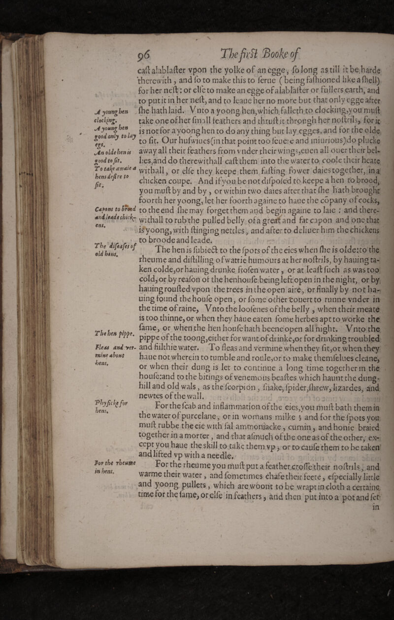 V p (5 The frïl Booh of cad alablader vpon the yolkeof ancgge, folong as till it be harde therewith, and fo to make this to feme ( being fafliioned like a (hell) for her ned : or elle to make an egge of alablader or fullers earth, and to put it in her nett, and to leaueher no more but that only egge after jiyounghen (he hath laid. V nto a yoong hen,which, falleth to clocking,you mult docking. take one other (mall feathers and thrult it thrpngh her nodrils, for ic •Jy°uoZ ”en is not for a yoong hen to do any thing but lay egges, and (or the olde Ç ony t0 y to fit. Our hufwiues(in that point too (euere and miurious)do pluck© jin olde hen u awayall their feathers from vnder their wings,euen all ouer their bel» good tn fit. l:es,and do therewithal! cad them into the water to coole their heate To eajeawaie a vvjthaU} or clfe they keepe them failing fewer daies together, in a ms ejireto c>n)Cj,en COUpe. And if you be not difpoied to keepe a hen tobrood, you mud by and by , or within two daies after that (lie hath brought foorth her yoong, let her foorth againe to haue the côpany ofcocks, c<tt>ons to Brood to the end (lie may forget them and begin againe to laie : and there- and leaded»^ withall to rub the pulled belly of a great and fat capon and one that is yoong, with dinging nettles, and after to deliuer him the chickens • to broode and Ieade. - , •vÉMl Minns’ ° The hen is lubiecl to the fpots of the eies when fire is olde.'to the rheumeand diddling ofwatrie humours at her nodrils, by hauing ta¬ ken colde, or hauing drunke ftofen water, or at lead fuch as was too cold, or by reafon of the henhoufe being left open in the night, or by hauing rouded vpon the trees in the open aire, orfinallyby not ha¬ uing found the houle open, orfomeothertouertto runne vnder in the time of raine, Vnto the loofènes of the belly , when their meate is too thinne, or when they haue eaten fome herbes apt to worke the The h<n pi pe ^arnc’ or whcn the ben houfehath beetle open all night. Vnto the j. n senpppe. pippgyfj^g toong,either for want ofdrinke,or for drinking troubled fleas and yet- and fiilthie water. To fleas and vermine when they fit,or when they mne about haue not wherein to tumble and roule,or to make themfelues cleane, or when their dung is let to continue a long time together in the houferand to the bitings of venemousbeades which haunt the dung¬ hill and old wals, as thefcorpion, (hake, fpider,fhrew, lizardes, and newtesofthewall. ■ _ * f » ' * r ' * —* * ; For the (cab and inflammation of the eies,you mull bath them in the water of purcelane, or in womans rmike j and for the fpots you muft rubbe theeie with lal ammoniacke, cumin, and honie braied together in a morter, and that a (much of the one as of the other, ex¬ cept you haue the skill to take them vp, or to caufe them to be taken and lifted vp with a needle. : , ; . J Fortherheumeyoumudputafeather.crodetheir nodrils, and w arme their water, andlometimes chafe their feete, efpecially little and yoong pullets, which arewoont to be wrapt in cloth a certaine time for the famé, or elfe in feathers, and then put into a pot and fet bens. Vhyfickgfor hensa Tor the rheums hi hem. m I