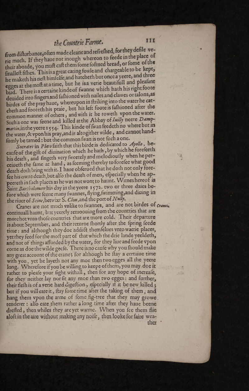 from difturbance,often madecleaneandrefrclhed, f*P*V®f much. If they haue not inough whereon to feede in the pJa their aboâde, you muft caft them fome foftned bread, or fome oft ^ firalleit fifties.This is a great eating fowleand chargeable to be kept, he maketh his neft himlelfe,and hatcheth butonceayeere^ndt^ee egges at the mod at a time, but he is a venebeautifull andpea^anE bud There is a certaine kinde of fwanne which hath his right foote deuided into fingers and falhioned with nailes and clawes or talons,as, birdes of the pray haue, whereupon in linking into the water he cat» cheth and footeth his praie, but his left foote is falhioned after t C common manner of others, and with it he rowethvpon the water. Such a one was feeneand killed at the Abbay o Imlly neere Damp- martin js\ the yeere 1554» This kinde of fwan feedeth no wherebutm the water,&vponhis pray,and is altogither wilde, and cannot nano- fomly be tamed : but the common fwan is not fuch a one. Socrates in Plato faith that this birde is dedicated to Apollo, be» caufeof the gift of diuination which he hath, by which he forefeeth his death, and fingeth very fweetely and melodioully when he per» ceiueth the fame at hand, as feeming thereby to forefee what good death doth bring with it. I haue oblerued that he doth not only fore- fee his owns death,but alfo the death of men, efpecially when he ap- peereth in fiich places as he was not wont to haunt. Witnes hereof 1$ Saint Bartholomew his day in the yeere 1571. two or three daies be» fore which were leene many fwannes, flying,fwimming,and dunng its the riuer of Seine,betwixt S. C7a#,and the port of Nullj. Cranes are not much vnlike to fwannes, and are not birdes of cranes* continuait haunt, but yeerely remoouing from the countries that are more hot viuo thofe countries that are more cold. Their departure is about September, and their returne Ihortly after the fpring feede time: and although they doe addift themfelues vntowatrie places, yet they feed for the moll part of that which the drie lande yeeldeth, and not of things afforded by the water, for they liueand feede vpon corne as doe the wilde geefe. There is no caufe why you fliould make any great account ol the crane '■> for although he ftay a certaine time with you, yet he layeth not any moe then two egges all the yeere long. Wherefore if you be willing to keepe of them, you may dee it rather to pleafe your fight withall, then for any hope of increafe, for they neither lay nor fit any moe than two egges: and further, their fielh is of a verie hard digellion, especially if it be new killed | but if you will cate it, ftay fome time after the taking of them, and hang them vpon the arme of fome fig-tree that they may growe, tenderer : alfo eate them rather along time after they haue beene drefled, then whiles they are yet warme. When you fee them flic aloft in theatre without making any noife, then looke for faire wea- ' ' the? •