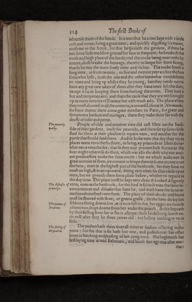 adnertife them of the houfe. It is true that he is not kept with z little coll and meate, being a great eater, and quickly digefting his meate, noifometo the houle, for that helpoileth the gardens, iftherebe not fome little meddow ground lor him to frequent, he breaketh the roofe and high place of the houferand the cocke being ouerranke by nature, doth breake the hensegs, thereby to keepe her from fitting, that fo he may the more freely mioy and vfe her. The cocke liueth a longtime, asfrom twentie , tofiucand twentieyeeres»butthehen fomewhat leflfe, both the one and the otherfomewhat troublefome to reareand bring vp whiles they beyoong, buttheyneede not to haue any great care taken of them after they haueonce left the dam, except it be in keeping them from hurting the corne. They loue a hot and temperate aire, and thats the caule that they are not brought vp in many cuntriesofFrauncebut with much ado. The place where they moil abound in all thecountrie,is toward Lifieux in Normandie, forfrom thence there come great numbers to Paris, for great and fumptuous bankets and mariages, there they make them fat with the drode of cider and perrie. :: Tbtpeacoely People ofolde andauncient time did call Jllets on the back- * fide of their gardens, onelyfor peacocks, and there let vp fome little filed for them at their pleafureto repaire vnto, and another for the partie that fhould feed them. And in Italie vnto this day they vfe in places neere vnto thefea fhore, to bring vp peacocks in Iilets lbme- what neere vnto the lea, that fo they may preuentfuch harmeas the foxe might otherwife do them, which was alfo the drift why our anci¬ ent predecedors tookethe famecourfe : but we which makenot fo great account of them,are content to keepe them in fome roome ouer the hens, euenin thehigheil partofthe henhoufe, forthey loue to rouft on bigh,& in an open aire, fitting very often for that caufe vpon trees, but we prouide them lome place below, whither to repaire in the day time. This place rnuftbe kept very clean & looked diligently The Jifiafes e/vnto, euen as the henhoufe, for this bird is fubiedl vnto the fame in- peacocljes, conueniences and dilealesthat hens be, and mull haue the lame re¬ medies adminiftred vnto them. The place of their abode and haunt mull be lira wed with ftraw, or greene grade , for the hens do lay but The,mure of feldome fitting downe low,as is manifell in that her egges are founde Veahens. oftentimes dropt downe from her vnder the pearch, & this hapneth Ly their falling from her as (he is alleepe: theic birdsibnng foorth ve- rie well after they be three yeeresold : but before nothing or verie little. • ' ?<■ - v *t Thefittingof The peahen hath three icuerall timesor fealbns oflaying in the ihepeaben. yeere . but Ihe that islet hath but one, and pad'ethouer her other times in hatching and(leading of her yong ones. She beginneth her fintlaymgtime at mid jfebruarie, and laiçth fiue egs one after ano~  ' - ther: