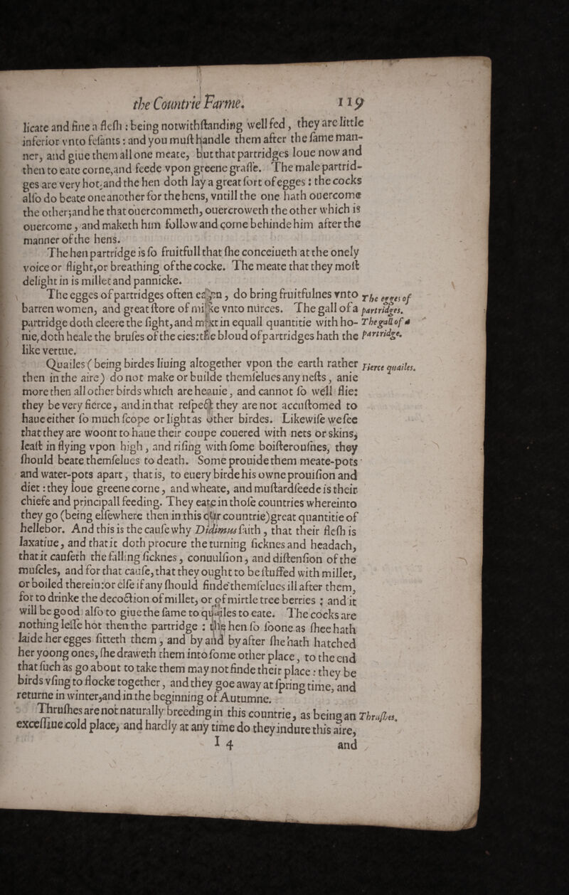 licate and fine a flefii : being notwithftanding well fed, they arc little inferior vnto fêlants: and you mulb handle them after the/ameman- ner, and giue them all one meate, but that partridges loue now and then to eate corne,and feede vpon greene grafle. The male partrid¬ ges are very hot-and the hen doth lay a great fort of egges i the cocks alfodobeateoneanotherforthehens, vntillthe one hath ouercom® the other;and he thatouercommeth, ouercroweth the other which is ouercome, and maketh him follow and come behinde him afterthe manner of the hens. The hen partridge is lo fruitfull that fhe conceiueth at the onely voiceor flight,or breathing ofthecocke. The meate that they moll delight in is millet and pannicke. \ The egges of partridges often es'^n, do bring fruitfulnes vnto Tj)C e„ts barren women, and great ftore of mipte vnto niirces. The gall of a partridges. partridge doth cleere the fight, and mfxt in equall quantifie with ho- The gaü of a nie,doth heale the brufes of the ciesrtfie bloud ofpartridges hath the like vertue. ■ ^ - v Quailes ( being birdes Iiuing altogether vpon the earth rather Tierce „M-,ies. then in the aire) do not makeorbuilde themleluesanynefts, anie more then all other birds which areheauie, and cannot lb well Hie: they be very fierce, andin that relpefithey are not accuftomed to haueeither fomuchfcope orlightas other birdes. Likewile wefee that they are woont to haue their coupe couered with nets or skins, Iealt in flying vpon high, and riling with lome boifteroufnes, they Ihould beatethemfelues todeath. Someprouidethem meate-pots and water-pots apart, thatis, toeuerybirdehisowneprouifionand diet : they loue greene corne, andwheate, and muftardfeede is their chiefe and prjncipall feeding. They eate in thole countries whereinto they go (being elfewhere then in this ql4!rcountrie)great qnantitie of hellebor. And this is thecaufewhy Didimiuftith, that their flefb is laxatiue, andthatit doth procure the turning ficknesand headach, thatitcaufeth the filling ficknes, conuullion, and diftenlion of the mufcles, and for that caufe, that they ought to be {buffed with millet, or boiled thereimorelfeifany fliould finde'themlelues ill after them, for to drinke the decochon of millet, orof mirtle tree berries ; and it will be good alfo to giue the fame to qu ailes to eate. The cocks are nothing lelfe hot then the partridge : the hen fo lbone as Iheehath laide her egges fmeth them, and by and by after file hath hatched her yoong ones, Ihe draweth them into fome other place, to the end that fuch as go about to take them may notfinde their place • they be birds vfing to flocke together, and they goe away at fpring time and returne in winter,and in the beginning of Autumne. F 8 Thrulhes are not naturally breeding in this countrie, as being an Thrtfa excelliue cold place, and hardly at any time do they indure this aire, ^ 4 and / - ^ v