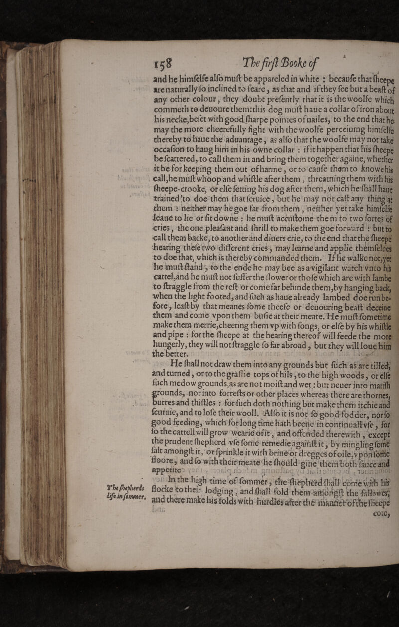 , v and he himfelfe alfo mull be appareled in white : becaufethat fheepe arc naturally lo inclined to feare, as that and if they fee but a bead of any other colour, they doubt prelently that it isthewoolfe which commeth to deuourethemithis dog mult haue a collar ofiron about his necke,belet with good.fliarpe pointes ofnailes, to the end that he may the more cheerefully fight with the vvoolfe perceiumg himfelfe thereby to haue the aduantage, as alio that the woolfe may not take occafiontohanghirninhis owne collar : if it happen that his Iheepe beicattered, to call them in and bring them together agàine, whether it be for keeping them out ofharme, or to caufe them to knowehis call,he mull: whoop and whiftle after them , threatning them with his Iheepe-crooke, or elfe letting his dog after them, which he (ball haue trained'to doe them thatleruice, but he may not calf any thing at them : neither may hegoe far from them, neither yet take himfelfe leaue to lie orfttdowne : hemuft accuftome them to two fortes of cries, the one plealant and Ihrill to make them goc forward : but to call them backe, to another and diners crie, to the end that the flieepe hearing thefetwo different cries, mayleameandapplie themleloes to doe that, which is thereby commanded them. If he walke not,yet he mull Hand , to the ende he may bee as a vigilant watch vnto his cattel,and he mull not fuller the flower or thole which are wi th lambe to llraggle from the reft or come f ar behindc them,by hanging back, when the light footed, and fuch as haue already lambed doe run be¬ fore, leaft by thatmeanes fome theefe or deuotiring beaft deceiue them and come vponthem buftcat their meate. He mull iometime make them merrie,cheering them vp with fongs, or elle by his whiftle and pipe : forthe Iheepe at the hearing thereof will feede the more hungerly, they will not llraggle lb far abroad, but they will loue him the better.  . > ;■ • ■ ’ He fliall not draw them into any grounds but fuch as arc tilled, and-turned, ortothegrallie topsofhils,to the high woods, orclfc fuch medow grounds,as are not moift and wet : but neuer into marilh grounds, nor into forrells or other places whereas there are thornes, >urres and thillles : for fuch doth nothing but make them itchieand feuruie, and to lofe their wooll. Alfo it is not Ibgood fodder, norfo good feeding, which for long time hath beetle in continu all vfe, for fo foecat:teil will grow wearie of it, and offended therewith , except the prudent fhepherd vfefome remedieagainftit, by min°lin°fofne &lt amongll it, or Iprinkle it with brine or dregges ofoilc,iTpon fome ttoore, and fo with their meate he Ihoiild gibe them both lauce and appetite tiyt-rn . . . . ,In the, hi8h «me of fommer, the-fliephèrd flail come with his 2ttlt flo?f;tothe,.r 15>d8ins > and flwH fold them àfhbngft the feHewWî and there make his folds with hurdles after the manner ofthe fheepe - ' cote,