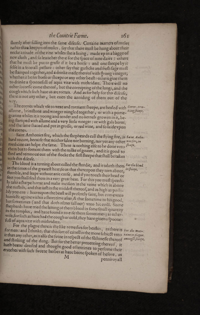 *1» fill, it ut dll 11 U| «il f ipi the Countne Fame. 161 fliortly after hilling into the fame difeafe. Certaine marrers ofnmles rather thaa keepers of mules , fay that there mull be hung about their neckeatoade ofthevine whiles fbeisliuing, madevpinabaggeof new cloth , and foleaue her there for the (pace of nine daies : others that he mull be putto grade if it bea horfè : and onefheepeby ic l'clfe in a feuerall pallure : other fay that garlickcandfreflifagemiifl be llamped together,and a drinke made thereof with ftron° vine°er, whetherit be tor horlc or fheepe or any other beafl : outers giue them to drinke a fpoonefull of aqua vitae with mithridate. There will no other fuccefle come thereof, but the corrupting of the lungs, and the cough which fuch haue as are rotten. And as for help for this difeafe, . there is not any other, but euen the auoiding of them out of the way. ' 1 he cornes which vfe to vexe and torment fheepe, are healed with Corne!->fMa- allume, brimflone and vineger mingled together, or with a pome- ^unS^eeFe- granate whiles it is yoong and tender and no kernels growen in ir, be¬ ing flamped with allume and a very little vineger : or with gals burnt, and the fame ihaued and put in grofïë, or red wine, and fo laide vpon the cornes. r I u ,^a,nt -Anthonies fire, which the fhepheards call the flying Are, is Saint Jutho- K hard cocure; becaulethatneitherfaluenorburning^noryetany other niesfire%in I medicine can helpe thefame. There is nothing elfe to be done vnto them but to foment them with themilkeofgoates, anditisgood to . l lnd rf',V°OUC oat of the flocke the firft fteePe that fhall be taken with this difeafe. The bloud is a turning about called the flurdie, andittaketh them tie ibid in the times of the greatefl heatjlo as that thereupon they turn about table, and leape without anie caufe, and if youtouch their head or £t/k°U J ad fi*d them m.a vc,r-v 8reat heat. For this you muft fpeedi- Ipke a (harpe home and make mcifion in the veine which is abone [ t cnoftnls, and thatiuflin the middefl thereof,and as high as pofli- . My yon can : heereupon tbebeaftwjll prefencly faint, bincomevnto himfdfe agame within a Ihort timeafter,& that fometime to his good utiomenmes (and that doth oftner fall out) vnto his euill Some For tihe plague there is the like remedies for bei(l« od for men : and I thinke, that this fort of cattell is the more fn£> ^ ‘S *r ‘h‘ mm'~ it than any other, as is alio the fwine in refbeft of thr fitu vnto ra,Ke nrJ,ague »ndffi„k„,g of che dong. —***■ hath beene deuifed and thought good oftentimec ^ rtre°f , it cratches with Ikh Iweete herbes as hauc beene fpoken of before “s' * JVf 5 penniroyall