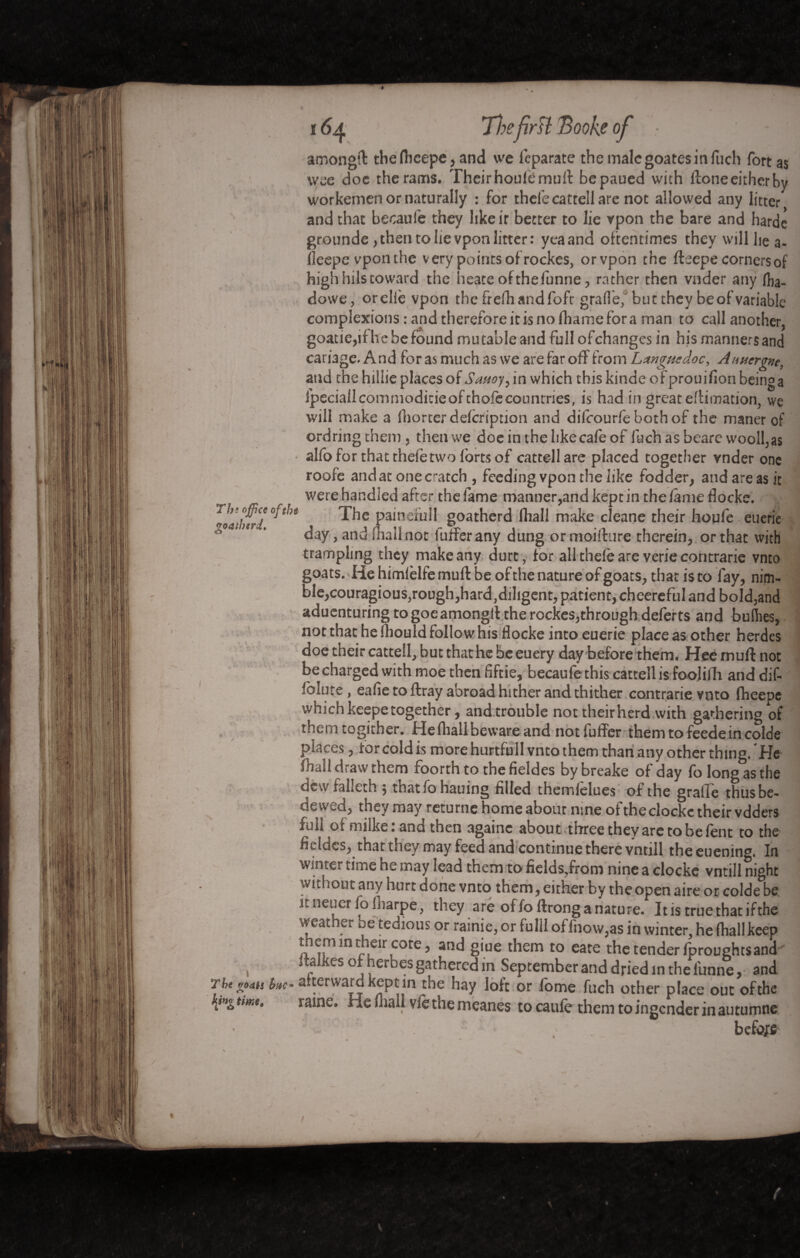 i ; ! * 164 Thefirst Booh of • arr.ongff thefhcepe, and we feparate the male goates in fiich fort as wee doc the rams. Their houle: muff bepaued with ffoneeitherby workemen or naturally : for thefecattellare not allowed any litter and that becaul'e they like ir better to lie vpon the bare and harde grounde, then to he vpon litter: yea and oftentimes they will lie a- lieepe vpon the very points of rockes, orvpon the fteepe corners of highhilstoward the heate ofthefunne, rather then vnder any fha- dowe, oreliè vpon the frefhandfofr grade, but they beofvariable complexions : and therefore it is no ftiame fora man to call another, goatie,if he be found mutable and full ofehanges in his manners and cariage. And for as much as we are far off from Languedoc, Anuergne, and the hiliie places of Srnoy, in which this kinde of prouifion being a fpeciallcommodicieofthofecountries, is had in great effimation, we will make a fhorter defcription and diicourfe both of the maner of ordringthem , then we doe in the like cafe of fuchasbearewooll,as • alfo for that thefetwo forts of cattell are placed together vnder one roofe and at one cratch , feeding vpon the like fodder, and areas it were handled after the fame manner,and kept in the fame flocks. T!aibfrd The paindull goatherd lhall make cleane their houfe euerie 0 ’ day, and lhall not fuffer any dung or moifture therein, or that with trampling they make any durt, for all thde are verie contrarie vnto goats. ^He himfelfe muff be of the nature of goats, that is to fay, nim¬ ble,couragious,rough,hardjdiligent, patient, cheereful and bold,and aduenturing to goeamongil the rockes,through deferts and bullies, not that he fliould follow his flocke into euerie place as other herdes doe their cattell, but thathe be euery day before them. Heémuftnot be charged with moe then fiftie, becaufe this cattell is foolilh and dif- fblute, eafle to ftray abroad hither and thither contrarie vnto fheepe which keepe together, and trouble not theirherd with gathering of them togither. He fliall beware and not fuffer them to feede in colde places, tor cold is more hurtfull vnto them than any other thing. He fhall draw them foorthto thefieldes bybreake of day fo long as the dew falieth 5 tnatfohauing filled themielues of the graffe thus be¬ dewed, they may returne home about nine of theclockc their vdders full of milke. ana then againe about three they are to be lent to the ficldcs, that they may feed and continue there vntill theeuening. In winter time he may lead them to fields,from nine a clockc vntill night without any hurt done vnto them, either by the open aire or colde be itneuer fo lliarpe, they are offoftrong a nature. Itis truethatifthe weather oe tedious or rainie, or fulil of fnow,as in winter, he (hall keep tnemmtheir cote, and giue them to eare the tender fproughtsand rtalkes of herbes gathered in September and dried m the l'unne, and The «ms hue- a.terwardkeptin the hay loft or fome fuch other place out of the ItfHgtimt, raine. He fliall vfethemeanes to caufe them toingender inautumtie befoffi