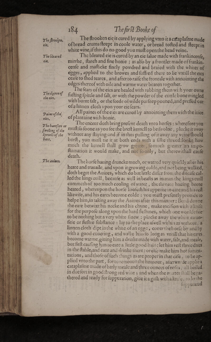 The ftm\en. eie* The bleared tf/e. Thesfyrreof the eies. Taine of the] ties. The hart fore or [welling of the kernels of the hart. The drooken eie is cured by applying vnto it a cataplafme made of bread crums deept incoole water, or bread tolled and deept in white wine,ifthis do no good you mud open the head veine. The bleared eie is cured by an eie lalue made with frankincenfè, mirrhe, Hatch and fine honie : asallbby a frontlet made of frankin- cenfe and madicke finely powdred and braied with the whites of egges, applied to the browes andfuffred there to lie vntiil theeies ceale to (lied teares, and after to raife the frontale with annointing the edges thereof with oileand warme water beaten together. The fears of the eies are healed with rubbing them with your owne fading lpittle and fait, or with the powder of the cuttle bone mingled with burnt fait, or thefeede of wildepatfnep pouned,and preflèd out of a linnen cloth vpon your eie fears. ■’.'All paines of the e;es are cured by annointing them with the iuice ofplantaine with honie. The enceur doth bring prefent death vnto horfes : wherefore you mull fb foone as you fee the brefl kernell to be fvvolne, plucke it away wirhoutany flayingrand if inthus pulling ofit away any veine fnould burfl, you mull tie it at both ends with a hike threeddooke how much the kernel! fhall grow greater lb much greater an impo- dumation it would make, and not foonly, but therewithal! caufe death. The auiues* The horfe hauing druncke much, or watred very quickly after his heate and trauaile, and vpon it growing colcle,and nor being walked, doth beget the Auiues, which do but little differ from the diieafe cal¬ led the kings euill, becaufcas well in beads as in man the kings euill commethof too much cooling of water , thethroaie hauing beene heated, whereupon the horfe looieth his appetite to eateand his reft Iikewife,and his eares become colde : you mud prefently prouide to helps him,in taking away the Auiues after this manner : Bend downe rheeare betwixt his ncckeandhis chyne, makemcifion with a knife for the purpofe along vpon the hard fiefbmes, which one won Id e hie to be nothing but a very white finew : plucke away toe win e c.i.ua- fide or fielhie fubftance : lay to the place ai well wirhi • \ as without, a linnen cloth dipt in the white ofanegge, couer the horfe by and by with a good couering, andwalke hi rn lo long as vnull that his eares become warme,giuing him a drinke made with water, fait,and meale, but firft caufing him to cate a little good hate ; let him red three dates in thedable,and eate and drinke there : oreiib make him hot fomen¬ tations , and thofe offuch things as are proper in that cafe, to be ap¬ plied vnto the part, for to remoouethe humour, afterwa Je appliea cataplafme made of barly meale and three ounces of refi i. a; s boiled in due fbit in good drong red wine , and when the n rtcr hi be ga¬ thered and ready for fuppu ration, giue it a grdh will's & kr. t let the , 1 ■ , iiippuraté * f