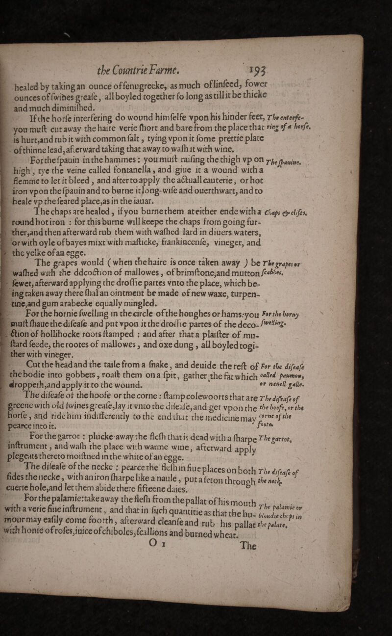 healed by taking an ounce offenugreeke, as much oflinleed, fower ounces of (wines greafe, all boy led together fo long as till it be thicke and much diminilhed. If the horlè interfering do wound himfelfe vpon his hinder feet, Thttnurfe- you muft cut away the haire verie (hort and bare from the place that «'«j 9fa borfe. is hurt,and rub it with common fait, tying vpon it fome prettie plate ofthinne lead,afterward taking that away to walh it with wine. Forthefpauin inthehammes: you mull railing the thigh vp on Yhejbauiue. high, tye the veine called fontanella, and giue it a wound with a fiemme to let it bleed, and after to apply the adluallcauterie, orhot iron vpon thelpauin and to burne it long-wile and ouerthwart, and to heale vp the feared place,as in the iauar. The chaps are healed, if you burnethem ateither endewitha chaps & clifts. roundhotiron : for this burne will keepe the chaps from going fur¬ ther,and then afterward rub them with walhed lard in diuers waters, or with oyle of bayes mixt with mafticke, frankincenle, vineger, and the yelke of an egge. ! The grapes would (when thehaire is once taken away ) be Tie grafts *r wafhed with the ddcoéhon of mallowes, ofbrimftone,and mutton lewet, afterward applying the droflie partes vnto the place, which be¬ ing taken away there fhal an ointment be made of new waxe, turpen¬ tine,and gum arabecke equally mingled. Forthehorniefwelhng in thecircle ofthehoughesorhams.-you tortbebtrny mull Ihaue the difeafe and put vpon itthedroifie partes of the deco- élion of hollihockc roots (lamped : and after that a piailler of mu- Hard feede, the rootes of mallowes, and oxe dung, all boyled togi- ther with vineger. - Cut the head and the tailefrom a fnake, and deuide the reft of P°r the difeafe thebodie into gobbets, road them on a (pit, gather the fat whichoa!led Paumt* Wropperh,andapplyittothewound. * »r naueü g*üe. The difeafe of thehoofe or the corne: ftamp colewoorts that are The difeafe »f greene with old lwinesgreafe,lay it vnto the di(ekfe,and get vpon the *beh»»fe,»rtl* horle, and ridehim indiftereiitly to the end that the medicine may corneo(tl,t pearce into it. * foot». For the garrot : plucke away the flelh that is dead with a (harpe Tbegamt. infiniment, and walh the place with warme wine, afterward apply plegeats thereto moiftnedm the white of an egge. . rr / The dileafè ofthe necke : pearccthe flefhin fiue places on both The d.fafe of fidesthenecke, with amron (harpe like a naule, putaletonthrouoh euerie hole,and let them abide there fifteene daies. ° For the palamiertake away the flefh from the pallat of his mouth n-i , - w.th a verie fine inftroment, and that in Inch qmntitte as that the hu- Efe mourmay eaffly come foorth, afterward deanfeand rub his pallar .6.7.1,/,/ with home of rofes,mice ofchiboles,fcalIions and burned wheat. W'f ' - °I The / V. < 1 \ \ V,