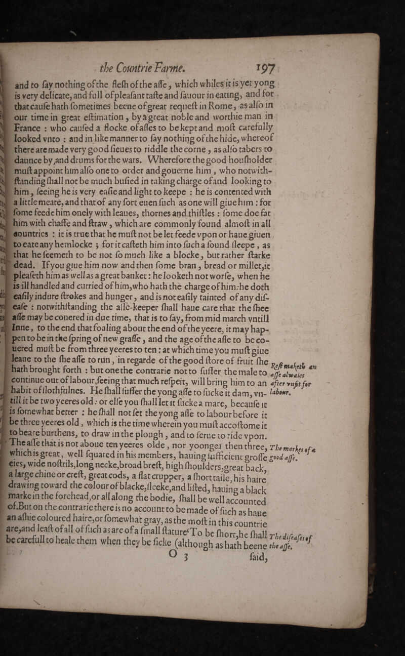 f mt é t i and to fa y nothingofthe flefh of the afle, which whiles it is yet yong is very delicate, and full ofplealant tafte and làuour in eating, and foe that caulê hath fometimes beeneofgreat requeftinRome, asalfoin our time in great eftimation, byagreat noble and worthieman in France : who caufed a flocke ofaflesto bekeptand moll: carefully looked vnto : and in like manner to fay nothing of the hide, whereof there are made very good lieues to riddle the corne, as allô tabers to daunce by.and drums for the wars. Wherefore the good houfholdcr muftappointhimalfooneto order andgouerne him , who notwith- ftanding lhall not be much bufied in taking charge ofand looking to him, feeing he is very eafie and light to keepe : he is contented with alitt!emeate,andthatof any fort euen fuch asonewillgiuehim:for fomefeedc him onely with leaues, thornes and-thiftles : fome doe fat him with chafFe and ftraw, which arc commonly found almoft in all countries : it is true that he mull not be let feede vpon or haue giuett to eate any hemlocke j for it cafte th himintoluchalound lleepc , as that hefeemeth to be not fomuch like a blocke, but rather ftarke dead. If you grue him now and then fome bran, bread or millet,it pleafeth him as well as a great banket : he Iooketh not worle, when he is ill handled and curried of him,who hath the charge of him.-he doth calîly indure ftrokes and hunger, andisnoteafily tainted of any dif- cafe : notwithftanding the aîfè-keeper fliall haue care that thelhee affe may be conered in due time, that is to lay, from mid march vntill Inne, to the end that foaling about the end ofthe yecre, it may hap¬ pen to be in the fpring of new gralfe, and the age of the afle to be co- uered mull be from three yeeres to ten : at which time you muft giue leaue to the IhealTe to run, in regarde of the good ftore of fruit fhe t ,t hath brought forth : butonethe contrarie not to fufler the male to allies continue out of labour,feeing that much refpeit, will bring him to an JfterynStfi habit of ilothfulnes. He lhall f'ufter the yong afle to llicke it dam, vn- I till it be two yeeres old .■ or elle you lhall let it fiickea mare, bccaule it is fome what better : he lhall notfet the yong allé to labour before it be three yeeres old, which is the time wherein you muftaccollomeit ^Urt^enS> t0 c^raw tlic plough 5 and to feme to ride vpon. ITheafte that is not aboue ten yeeres olde, nor yoongei then three, The marks 9f whichis great, well fquared in his members, hauing lufficient groffe 1 eies, wide noltrils, long necke, broad breft, high fhouIders.°reat back a large chine or creft, great cods, a flat crupper, a fliort taile his haire drawing toward the colour of blacke,lleeke,and lifted, hauino a black marke in the forehead,or ail along the bodie, lhall be well ac?oumed oKButonthecontranethereisno accountto bemadeoffuch aslvnie an a (hie coloured ha.rc,or lomewhat gray, as the molt in this countrie are,and Ieaftofall offLichasareofafmalIftature‘To be fliorr h«» n^TI be careful!to heale them when they be fide (although ° 3 faid. a or