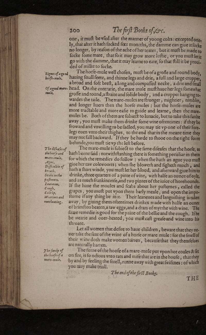 îoo 7l?e frf Book ofy&c. one, it muft be vfed after the manner of yoong colts: exceptedone- ly, that after it hath fucked fixe moneths, the damme can giue itfuckc no longer, byreafonoftheacheofherteates, but it mull be made to liicke fomemarc, thatfo it may grow moreluftie, or you mull: let it go with the damme, that it may learneto eate, fo that ftill it be proui- ded ofmilke to lucke. : Signet ofareoi The horfe-mule well chofen, muft be ofa grofle and round body, b^rfe-mnlc, hauing fmall feete, and thinne legs and drie, a full and large crupper, a broad and foft breft, a long and compaffed necke, a drie and fmall of 4good mart- head. On rhe contrarie, the mare mule muft haue her legs fomewhac mtle. grofle and round,a ftraite and fblide body, and a crupper hanging to- wardcs the taile. The mare-mules are ftronger, mightier, nimbler, and longer liuers then the horfe-mules : but the horfe-mules are more tra6f able and moreeafie to guide and learne, then the mare- mules be. Both of them are fubiecf to Iunacie, but to take this faulte away, you muft make them drinke fome wine oftentimes : if they be froward and vnwilling to be ladled, you may tic vp one of their fore¬ legs euenvnto their thighes, to the end that in the meane time they may not fall backward. If they be harde to fhooc on the right footc behinde,youmuft tievp the left before. f9 The difeafes of The mare-mule is fubie& to the fame dileafes that the horfe, as theborfeand hath beenefaid : notwithftanhing there is fomethingpeculiar in them for which the remedies do follow : when (he hath an ague you muft giue her taw colewoorts j when (he bloweth and figheth much, and hathafhortwinde, you muft let her bloud, and afterward giue him to drinke, threequarters of a pinte of wine, with halfe an ounce of oyle, and as muchfrankincenfe,and two pintes of theiuiceofhorehounde. If fhc haue the moules and fcabs about her pafternes, called the grapes , you muft put ypon them barlymeale, and open the impo- ftume if any thing be in it. Their Ieanenes and langnifhing is taken away, by giuing them oftentimes drinkes made with halfe an ounce or orimfton beaten,a raw egge,and a dram of myrrhe with wine. The fame remedie is good forthepaineofthebcllieand the cough. Ifhe be wearie and ouer-heated, you muftcaft greafeand wine into his throate. Let all women that defire to haue children, beware that they ne¬ arer take thefent of the vrine of a horfe or mare mule : for the fmellof their vrine doth make women barren, bccaule that they them felucs are naturally barren. 4 a The fume of the hoofe ofa mare-mule put vpon hot coales & let on nte, is fo odious vnto rats and mif e that arc in the houfe, that they by and by feeling the fmell, runne away with great fwiftnes : of which you may make trial I. The endofthefirfl Booke. ' ; ; ' ■ f - THE Dijfiwltie of breath, Scabstu the Jean eves, C H4#h, Colirj^e9 Marines and merlmtinz. ¥htfm\e of the hoofe ofa