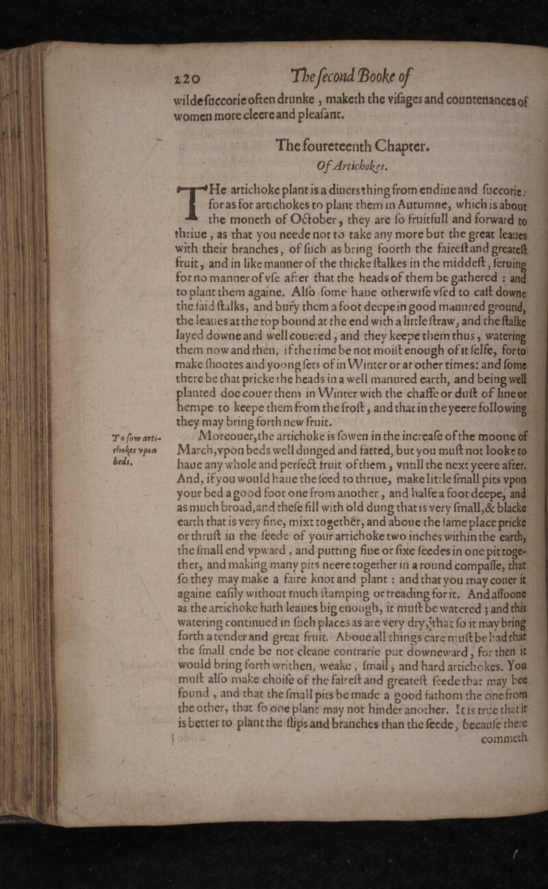 V. \ V 1 ft*. 1 é %io Thefécond Book? of wildefuccorieoftcndrunke, makeththe vifages and countenances of women more clecreand pleafant. The fouretcenth Chapter. Of Artichokes. j — • *|“*He artichoke plant is a diners thing from endiue and fuccorie: tor as ror articnoKes to plant them in Auturnnc, wmcn is about ^ the moneth of O&ober, they are fo fruitfull and forward to thriue, as that you neede not to take any more but the great leaues T .1 |. , with their branches, offuch as bring foorth the fai reft and greateft fruit, and in like manner of the thicks ftalkes in the middeft, feruing for no manner of vfe after that the heads of them be gathered : and to plant them againe. Alfo fome haue otherwife vfed to caftdowne the laid (bilks, and bury them a foot deepein good manured ground, 1 r •• >.i. N  / tne leaues at the top bound at the end with a Uttie itraw, and tneltaiKe layeddowneand well coucred, and they keepe them thus, watering them now and then, ifthe time be not moiit enough of it felfe, forto ;\ makY* ( hArsfrsf in \A7mf^r nr or for\A fnmt» there be that pricke the heads in a well manured earth, and being well planted doe couer them in Winter with the chaffeorduft of lineor hempe to keepe them from the froft, and that in the yeere following they may bring forth new fruit. T« fowarti- Moreouer,the artichoke is fowen in the increafe of the moone of tho\t} ypoa March, vpon beds well dunged and fatted, but you mu ft not looke to haue any whole and perfect fruit of them, vntill the next yeere after. And, ifyou would haue the feed tothriue, make little Irnall pits vpon your bed a good foot one from another, and halfe a foot deepe, and / -, • s. / ^ f V r ' \ >-* , J  ' U V - as much broad,and thefe fill with old dung thatis very fmall,&blacke earth that is very fine, mixt togethêr, and aboue the fameplace pricke orthruft in the feeds of your artichoke two inches within the earth, the imall end vpward, and putting fiue or fixe lèedes in one pit toge¬ ther, and making many pits neere together in a round compafle, that Y ■ • fo they may make a faire knot and plant : and that you may couer it againe eafily without much fhmping or treading for it. Andaffoone ✓ , I '—^ [ r ( es tnearncnoKe natn leaues DJgenougiij lc mtiit Dewatered ; and tms watering continued in fuch places as are very dry,jthat fo it may bring forth a tender and great fruit. Aboue all things care it uft be bad that the fmall ende be not cîeane contrarie put downeward, for then it would bring forth writhen, weake, fmall , and hard artichokes. You muft alfo make choifeof rhefaireftand greateft feede that may bee found * and that the final! oirs be made a onnd farhnm rhe onefrom [ *■ | . 4 > w «JIV.MV M L. V V U lUUiOUl >kl 1 », W1IW theother, that fboneplant may not hinder another. îc is true that it is better to plant the llips and branches than the leedc, fcecaufe the e ! , - commeth. % * - ft,v .1’ C