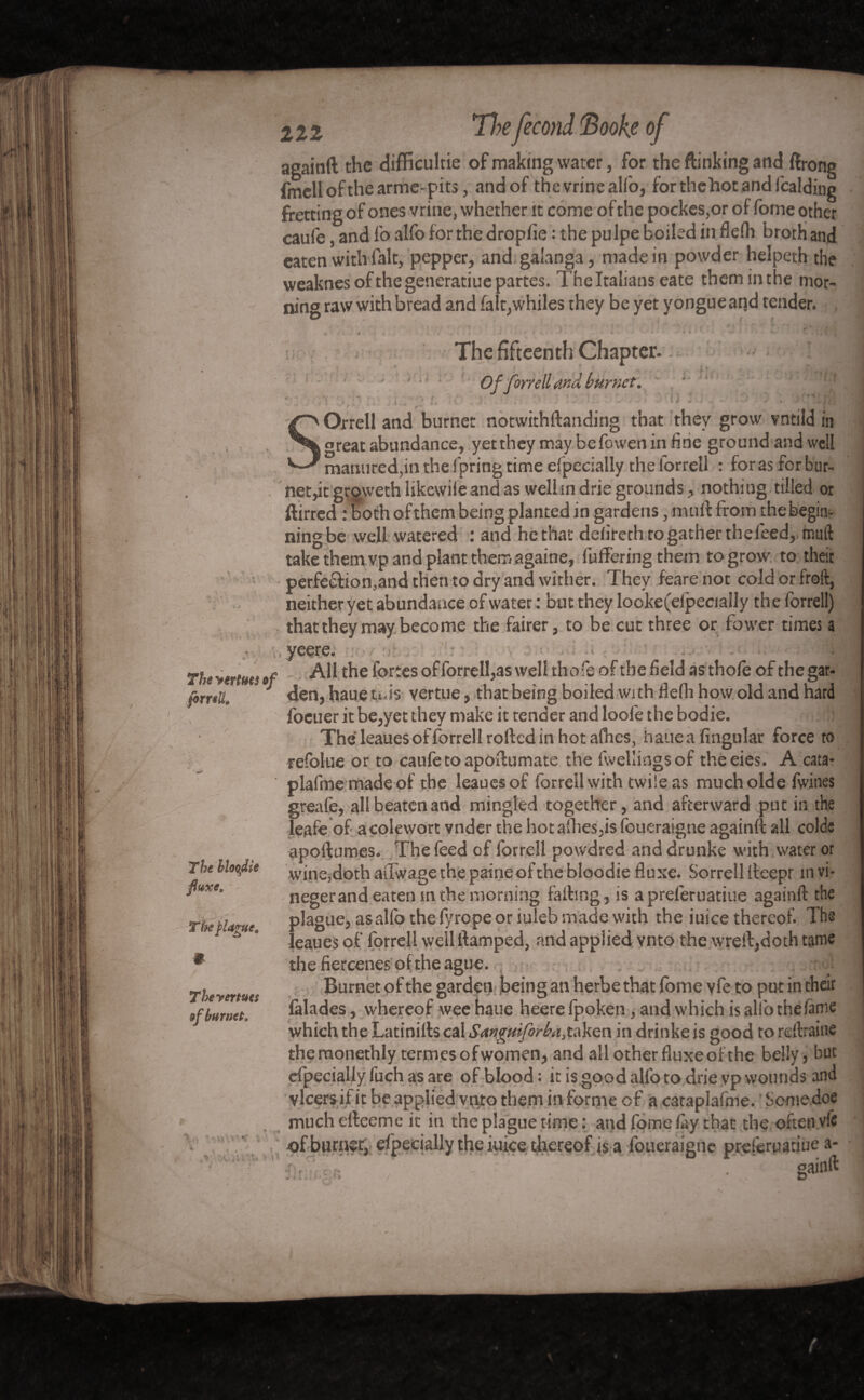 \ againft the difficultie of making water, for the linking and ftrong fmell of the arme-pits, andof the vrine alfo, forthehotandicalding fretting of ones vrine, whether it come of the pockes,or of fome other caufe, and fo alfo for the drophe : the pulpe boiled in flefh broth and eaten with fait, pepper, and galanga, made in powder helpeth the weaknesofthegeneratiue partes. The Italians eate them in the mor¬ ning raw with bread and fait,whiles they be yet yongueand tender. '# it'.' ’ * 1 . •»’>'* -.<if z » . L \ * ** \ ' % ■ * ».•*<' » ♦ * - • • * *-* * * . \ \ The fifteenth Chapter. . Of finell and burnct. ' ■' , . . ■ r. ; .• ' h : . . •• . ' Orrell and burner notwithftanding that they grow vntild in great abundance, yettheymaybefoweninfine ground and well manured,in the fpring time efpecially the forrell : foras for bur- net,it grgweth likewile and as welhn drie grounds, nothing tilled or ftirred : both of them being planted in gardens, mu if from the begin¬ ning be well watered : and he that defiteth to gather the feed, muft take them vp and plant them againe, differing them to grow to their perfedlion.and then to dry and wither. They feare not cold or froft, neitheryet abundance of water : but they looke(efpecially the forrell) that they may become the fairer, to be cut three or fower times a V » « / : i i The yertms of forrell* •<**- The hloeflie fluxe. The plague. The yertues efburnet. J \ iVi *:V* i All the fortes of forrell,as well thofe of the held as thole of the gar¬ den, haue mis vertue, that being boiled with Belli how old and hard foeuer it be,yet they make it tender and loofe the bodie. ! The leaues of forrell rolled in hot allies, haue a lingular force to refolue or to caufe to apollumate the fwellingsof theeies. A cata- plafme made of the leaues of forrell with twile as much olde fwines greafe, all beaten and mingled together, and afterward put in the leafe of acolewort vnder the hot allies,is foueraigne againft all colde apoftumes. The feed of forrell povvdred anddrunke with water or wine,doth aiTwage the paine of the bloodie fluxe. Sorrell fteepr in vi* negerand eaten m the morning failing, is apreleruatiue againft the plague, as alfo the fyropeor iuleb made with the iuice thereof. The leaues of forrell well flamped, and applied vnto the wreft,doth tame the fiercenes of the ague. Burnet of the garden being an herbe that fbme vfe to put in their falades, whereof wee haue heere fpoken, and which is alfo the fame which the Latinills cal Sangnifirba,taken in drinke is good to reftraitie the rnonethly termes of women, and all other fluxe of the belly, bur efpecially fuch as are of blood : it is good alfo to drie vp wounds and vlcersii it be applied vnto them in forme of a caraplafme. Some.doe muchefteeme it in the plague time: and fome fay that the often vfe of burner, efpecially the iuice thereof is a foueraigne preferuatiue a- gainft