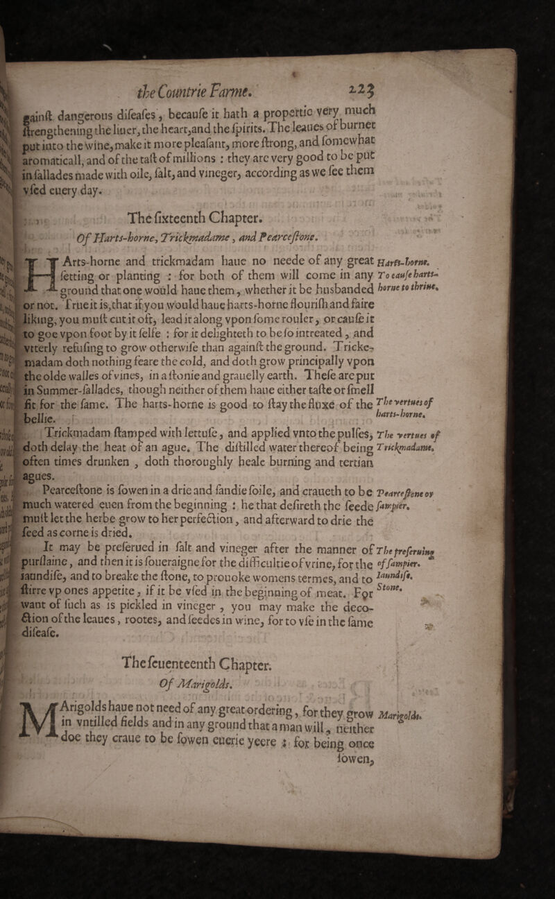 K' . 'H, the Comtrie Famé. z2% gainft dangerous difeafes, becaufe it hath a propertic very much Hrengthening the lmer, the heart,and the fpirits.The leaues or burner put into the wine, make it more pleafant, more ftrong, and fomewhat aromaticall, and of the tart of millions : they are very good to be put in fallades made with oile, falt,and vineger, according as we fee them v.fcd euery day. \ I. V-V ■ T ? 5 »* The fixteenth Chapter. Of Harts-horne, Trickmadamc , and Pearccfione. l % i ft * i ■I Vltft 01 fot Arts-horne and trickmadam hauc no neede of any great uartt-homt. letting or planting : for both of them will come in any To eaufe harts* ground that one would hauc them, whether it be husbanded home to thrme. or not. True it is^that if you would haue harts-horne flourilh and faire liking,you mult cutit oft, leadiralong vponfomerouler, orcaufèit to goe vpon foot by it fëlfe : for it delighteth to be fointreated, and Vtterly refilling to grow otherwile than againlt the ground. Tricke- madam doth nothing feare the cold, and doth grow principally vpon the oldewalles of vines, in a Itonie and grauelly earth. Theleareput in Summer-fallades, though neither of them haue either tarte or fmell fit for the fame. The harts-horne is good to ftay thefluxe of the The venues of bellie. ! hart,-borne. Trickmadam ftamped with Iettufe, and applied vnto the pulfes. The venues of doth delay the heat of an ague. The diltiiled water thereof being Tmkmaime, often times drunken , doth thoroughly beale burning and tertian agues. Pearceftone is fowenin a drieand fandiefoile, and craueth to be Teartejiene or much watered euen from the beginning : he that defireth the leede faster. mulllet the herbe grow to her perfection, and afterward to drie the feed as corne is dried. , mA . i i . ; . j It may be prefërued in fait and vineger after the manner of The preferring purflaine, and thenitisloueraignefor thedifficultieofvrine, for the “ffampier. jaundife, and to breake the ftone, to prouoke womens termes, and to laundtft- ftirre vp ones appetite, if it be vied in the beginning of meat. Fç»rStune’ want of luch as is pickled in vineger, you may make the déco¬ ction of the leaucs, rootes, andfèedesin wine, for to vie in the lame difeafe. 5® The feuenteenth Chapter. { Of Atariqolds, I A ? “ . '* | , j f t f* V*» ft- JL > MArigolds haue not need of any great ordering, for they grow Markahk in vntilled fields and in any ground that a man will, neither S doe they craue to be fowen euerie yeere ; for being once 11^;: iowen.