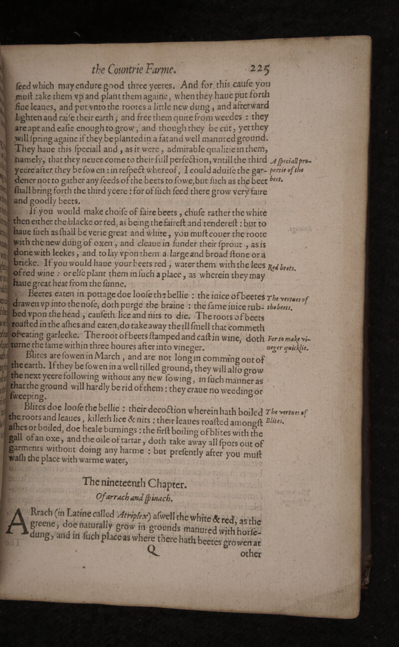 feed which may endure good three yeeres. And for this caufe you mu(t take them vpand plant them againe, when they haue put forth fiueleaucs, and put vntothc rootes a Jittle new dung, and afterward lighten and railë their earth, and free them quite from weedes : they are apt and eafie enough to grow, and thoughthey be cut, yetthey will Ipring againe if they be planted in a fatand well manured ground. They haue this fpeciall and, as ir were, admirable qualitiein them, namely, thattheyneuer come to their full perfedlion, vntill the third j jftciaüpro* ' yeere after they be fowen : in refpefl whereof, I could aduife the gar- partie of the dener not to gather any feeds of the beets to lbwe,but fuch as the beet /hall bring forth the third yeere : for of luch feed there grow very faire and goodly beets. < If you would makechodeof faire beets, chufe rather the white then either the blacks or red, as being thefaireft and tendered: : but to haue fuch asfhall be veriegreat and white, you mullcouer the roote [;r! with the new dung of oxen, and cleauein funder their fprout , as is done with leekes, and to lay vponthem a largeandbroadftoneora oui brickc. If you would haue your beets red, water them with the lees ^ ietts J °fred wine ; orel/cplant them iniuchaplacc, as wherein theymay . , haue great heat from the funne. ' -c - 5 h Beeres.eace? in pottage doe loofethnbellie : theiaiceottcetesrfc » drawen vp into theno/'e* doth purge the braine : the fame iuice rub- th.bms, * « bedvpon the head, caufeth lice and nits to die. The roots of beets 110/1 roai - c d hi the allies and eaten, do take away the ill fmcll that commeth S“\. L ....V _ 1 . _ I f _ _ _ f1 f /T f « a à -; — - ^ ^ - Miv JMiiuvu Luat vUtfiiliiCLll v ofcating garieeke. The root of beets damped and call in wine, doth Tor t» mah turne fnplamp with tn ♦•ht**»/* *•*=»<* n__ . n- fife turne the lame within three houres afterinto vmeger. neger quickie* Butes are fowen in March, and are not longm commingoutof the earth. If they be fowen in a well tilled ground, they will alio grow tJle nfxc yoere following without any new fowing, in luch manner as itkj *hat rhe §round wiU hardly be rid of them : they craue no weeding or ' J /weeping. . ^ ° k|. fc,ltes ? Ioo/~e : their decoaion wherein hath boiled The #f 1 (Rj roor.s an,d *caues j]<I,jech ,Jce & nits : their Ieaues roalled amongft El,Ui‘ I afhes or boiled, doc heale burnings : the firft boiling of blites with the gaa of an oxe, and the ode of tartar, doth take away all foots out of garments without doing anyharme : but prefcntly after yoo mull wain the place with warme watcr^ * fit The nineteenth Chapter. Ofarrtch and fpinach. Rrach (in Urine «lied A,rifUx) ofwell the white & red » th. greene , doe naturally grow in grounds manured with horlè! dung, and in fuch placets where there hath b^^e ». Q. eetesgrowenat other