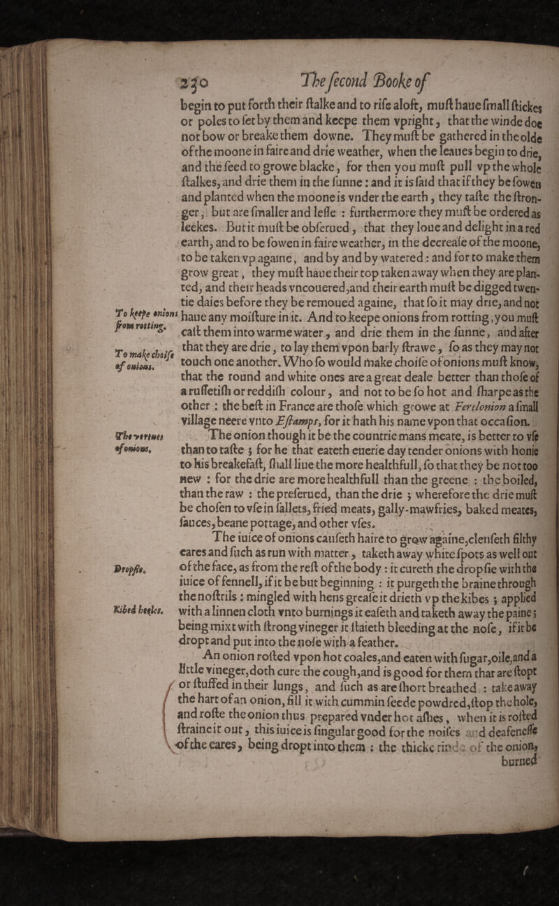 2 Jo Thefécond Book? of ' ; J begin to put forth their ftalke and to rife aloft, muft hauefmall ftickes or poles to fet by them and keepe them vpright, that the winde doe notboworbreakethem downe. Theymuft be gathered in theolde of the moone in faire and drie weather, when the Ieaues begin to drie, and the feed to growe blacke, for then you muft pull vp the whole ftalkes, and drie them in the funne : and it is laid that if they be fowen and planted when the moone is vnder the earth, they tafte the ftron- ger, but are fmaller and Idle : furthermore they muft be ordered as leekes. Butitmuftbeobferued, that they loue and delight in a red earth, and to be fowen in faire weather, in the decreafe of the moone, to be taken vp againe, and by and by watered : and for to make them grow great, they muft haue their top taken away when they are plan¬ ted, and their heads vneouered,and their earth muft be digged twen* tie daics before they be remoued againe, that fo it may drie, and not To ktefe otnom haueany m0jfl;Ure jn And to fceepe onions from rotting ,you muft pom rotting. ca(t them into warme water, and drie them in the funne, and after To make l r ^ey are >to lay them vpon barly ftrawe, fo as they may not ffeniem. touch one another. Who lo would make choile ofonions muft know, that the round and white ones area great deale better thanthofeof a rulTetilh or reddilh colour, and not to be fo hot and Iharpeasthe other : the beft in France are thofe which growe at FertIonian a fmall a village neere vnto Eftamps, for it hath his namevponthat occafion. The onion though it be the countrie mans meate, is better to vfe than to tafte ; for he that eateth euerie day tender onions with honie to his breakefaft, Hull liue the more healthfull, fo that they be not too new : for the drie are more healthfull than the greene : the boiled, than the raw : the preferued, than the drie j wherefore the drie muft be chofen tovfeinfallets,fried meats, gaily-mawfries, baked meates, Jauces,beane portage, and other vfes. M l The iuice of onions caufech haireto grow againe,clenfeth filthy earesand fiich as run with matter, taketh away white ipots as well out of the face, as from the reft of the body : it cureth the dropfie with the iuice of fennell, if it be but beginning : it purgeth the braine through thenoftriis : mingled with hensgreafeitdrieth vp the kibes ; applied with a linnen cloth vnto burnings it eafeth and taketh away the paine ; being mixt with ftrongvineger it ftaieth bleeding at the nofe, ifitbc drop: and put into the nole with a feather. ,• £- ; An onion rolled vpon hot coales,and eaten with lugar,oiIe,and a little vineger,doth cure the cough,and is good for them that are ftopt or fluffed in their lungs, and luch as are (hort breathed : takeaway the hart ofan onion, fill it with cummin feede powdredfttop thehole, and rofte the onion thus prepared vnder hot allies, when it is roiled llraineitout, this iuice is lingular good forthe noiles ad deafened* of the cares, being dropt into them : the thickcrinie of the onion, burned Tbtytrtuei •fonions. Vtoffit, Kihtd httUs,