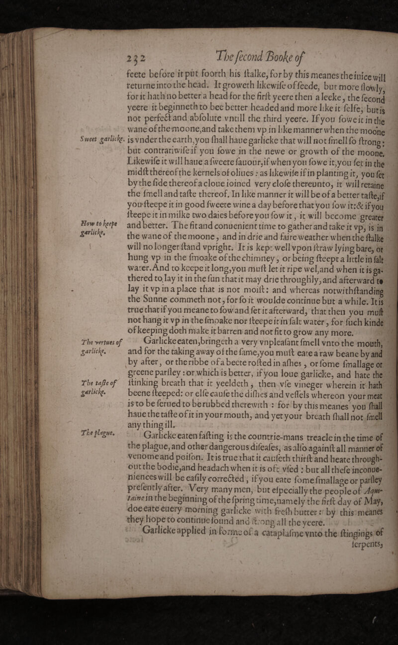 V Hoxp to kçefe garlicke. * / • r' fcete before it put foorth his rtalke, for by this meanes theinicewill returne into the head. Itgroweth likcwifeoffeede, but more llo<\vly for it hath no better a head for the firrt yeere then a Ieeke, the fécond5 yeere itbeginnethto bee better headed and more like it felfc, butis not perfect and abfolute vntill the third yeere. Ifyou foweit inthe wane of the moone,and take them vp in like manner when themoohe Sweet garliikg. is vnder the earth,you fhallhauegarlicke that will not fmellfo ftrong; but contrariwifeif you lowe in the newe or growth of the moone. Likewife it will haue a fweete fauour,if when you fowe it,you fet in the midft thereof the kernels of oliues : as hkewifeifin planting it, you fee by the fide thereof a cloue ioined very clofe thereunto, it wiilretaine the frr.ell and tarte thereof. In like manner it will be of a better tarte,if you-fteepe it in good fweete wine a day before that you fow it:& ifyou ifeepeitinmilke two daies before you fow it, it will become greater and better. The fit and conuenient time to gather and take it vp, is in the wane of the moone, and in drie and faire weather when the rtalke will no longer ftand vpright. Iris kept well vponrtraw lying bare, or hung vp in the fmoake of the chimney, or being fteept a little in fait water. And to keepeitlong,you mull let it ripe wefand when it is Ga¬ thered today it in the fun that it may drie throughly, and afterward°t# lay it vp in a place that is not moi it : and whereas notwithrtanding the Sunne comineth not, for io it woulde continue but awhile. It is true that ifyou meane to low and let it afterward, that then you mult not hang it vp in the fmoake nor fteepe it in fait water, for fuch kinde of keeping doth make it barren and not fit to grow any more. Garlickeeaten,bringeth a very vnpleafantfmell vntothe mouth, and for the taking away of the fame,you mull eate a raw beane by and by after, ortheribbe ofa beete roiled in afhes, orfome fmallageor greeneparlley : or which is better, ifyou loue garlicke, and hate the itinking breath that it yeeldeth, then vie vmeger wherein it hath beene lfeepedt or eliecaufe the difiies and vefiels whereon your meat is to be ferued to be rubbed therewith : for by this meanes you fhall haue the taffeofit in your mouth, and yet your breath fliallnot frr.ell any thing ill. ’ v£ f ffM Garlicke eaten farting is the countrie-mans treaclein the time of the plague, and other dangerous difeafes, as alio againft all manner of venome and poil bn. It is true that it caufeth thirft and heate through¬ out the oodie,and headach when it is oft vied ; but all thefe inconue- nienceswill be eafily corre&ed, ifyou eate fome fmallage or parlley preiently after. Very many men, but efpecially the people of At¬ tains in the beginningofthefpring time,namely the firft day of May, doeeateeueiy morning garlicke with frefii butter .* by this meanes they hope to continuelbunci and ftiong all the yeere. Garlicke applied in formed a cataplalme vnto the ftingings of , ■ ’ - , . ierpents, The virtues of garlicke. The tafte of garlicky. The plague.