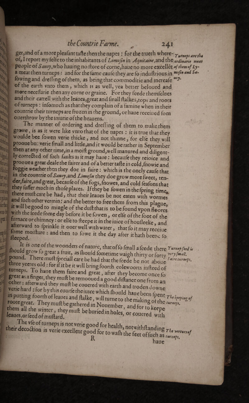 ger,and of a more plealànttaftc then the napes : for the trueth where- rutmpsaretbt of, I report my lelfe to the inhabitants of Limefin in .Aquitaine,and the ordimrie meat people of Sauoy,who halting no ltore of corne,haue no moreexcellét •fthemofLy a meat then turneps : and for the lame caule they are fo induftrious in mfin (owing and drcfhngofthem, as being that commoditie and increale of the earth vnto them, which is as well, yea better beloued and more necelîarie then any corne or graine. For they fecde themfèlnes and their cartel! with the Icanes,great and lmall (hikes,tops and roots of turneps : infomuchasthattheycomplamofafaminewhen in their countrie their turneps are frozen in the ground, orhaue receiued lom ouerthrow by the injurie of the heauens. The manner of ordering and drefling of them to make them VP 1C If \M or/a M'a ~ L __ ‘ ‘ i i / grawe, is as it were like vnto that ol the napes : it is true that they woulde bee lowcn verie thicke, and not thinne, for elle they will prooue bu: verie fmall and little,and it would be rather in September tnen at any other time,in a moiftground,well manured and diligent¬ ly corre&ed ol fuch faults as it may haue: becaule they reioicc and proo ue a great deale the fairer and of a better tafte in cold ,fnowie and ► jQnm# J ^. 1 f. * 1 • ! • • t ~ w . in tviujiijuwic ana ®f T°§SIC weather then they doe in faire: which is the onely caule that Till thecountrie of Saucy,and Ltmofm they doe grow morefweet, ten¬ der,faire,and great, becaufe of the fogs, fnowes, and cold feafons that they Cotter much in thofeplaces. Iftheybe foweninthefprine time, there mult care be had, that their leaues be not eaten with wormes and uch other vermin; and the better to free them from this plague it will be good to mingle of the dulhhat is tobefound vponfloores’ With the (eede fomc day before it be fowen, or elle of the loot of the ÎT-T, ° •CllC t0 ltenpe Vn the iuice of'houl]eeke, and ake^ard to fpnnkle it ouer well with water, thatfoitmavreceiue (beeped101 lbre *’ ^ t0 f°WC “ the da? after ithath been. fo (horrid r^ftheTndcrS °nmWrCA thatoffo fmal1 ^ede there 1 V ° °rC3i a *ruit> as ^lou^ (bmetime waigh thirty or forty yerjfm‘tl!- p und. There mult ipeciall care be had rhar the feede be not aboué !aireturm gr=»t « a finger they be'remooS good «anyone ft turneps. vene hard : for by this courte rhe iu,ce which Sd h,„c be, rt art putting foorthofleat.es and ftalte, will turtle to the Ü n,W' rootegreat. TheyroullbeuathcredmN„,,T,I?'.!?,'‘ll'n8,ot'h<:'“4-. rootegreat. TheymuilbegathcredmNoucmber and?8,°,lh' them all the winter, they mult be buried in holes ore or,0JieePe leaues,or feed of muftard/ '““«““holes, orcouered with W»£ 0/ ■heir decoffiou is veŒlen goïïfo 1’thefe of ft ch a? ZT‘f haue turneps.