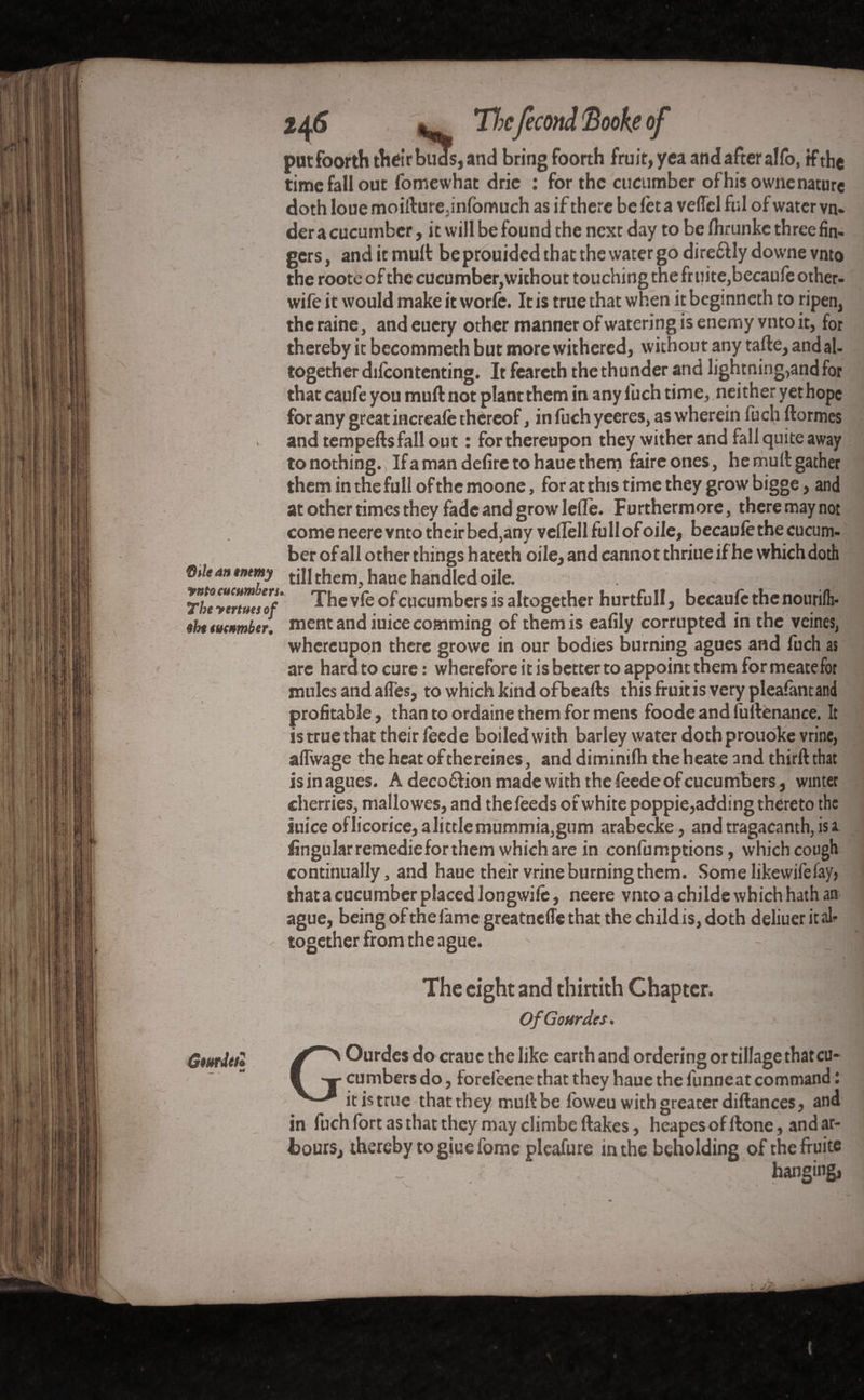 - put foorth their buds, and bring foorth fruit, yea and after alfo, if the time fall out fomewhat drie : for the cucumber of his owne nature doth loue moifture,infbmuch as if there be let a veflel fill of water vn- der a cucumber, it will be found the next day to be Ihrunkc three fin¬ gers, and it mult be prouided that the water go dire&lydownevnto the roote of the cucumber,without touching the fruité, becaufe other- wife it would make it worlè. It is true that when it beginneth to ripen, the raine, and euery other manner of watering is enemy vnto it, for thereby it becommeth but more withered, without any tafte, and al¬ together dilcontenting. It feareth the thunder and lightning,and for that caufe you mull not plant them in any fuch time, neither yet hope for any great increale thereof, in fuch yeeres, as wherein fuch ftormes » and tempeftsfall out : for thereupon they wither and fall quite away to nothing., If a man defire to haue them faire ones, he mult gather them in the full of the moone, for at this time they grow bigge, and at other times they fade and grow lefle. Furthermore, there may not come neere vnto their bed,any vellell full of oile, becaule the cucum¬ ber of all other things hateth oile, and cannot thriueifhe which doth Dtleamnemy till them, haue handled oile. ^ - dB VZZ2ÏÏ The vfe of cucumbers is altogether hurtfull, becaufe the noiirilh- $h$ mmber. ment and mice comming of them is eauly corrupted in the veines, whereupon there growe in our bodies burning agues and fuch as are hard to cure: wherefore it is better to appoint them for meatefor mules and allés, to which kind ofbeafts this fruit is very plealantand profitable, than to ordaine them for mens foode and fultenance. It is true that their feed e boiled with barley water doth prouoke vrine, aflwage the heat of thereines, and diminilh the heate and thirft that is in agues. A decoft ion made with the feede of cucumbers, winter cherries, mallowes, and the feeds of white poppie,adding thereto the Juice of licorice, a little mummia, gum arabecke, and tragacanth, is a lingular remedie for them which are in confumptions, which cough continually, and haue their vrine burning them. Some likewife lay, that a cucumber placed longwilè, neere vnto a childe which hath an ague, being of the lame greatnefle that the child is, doth deliuer it ak - together from the ague. - , il ii The eight and thirtith Chapter. Of Gourdes. Gmieü Ourdes do craue the like earth and ordering or tillage that cu¬ cumbers do, forefeene that they haue the funneat command : it is true that they tr.ufl be foweu with greater diftances, and in fuch fort as that they may climbe flakes, heapes of ftone, and ar¬ bours, thereby to giue fome pleafure in the beholding of the ffuite hanging»