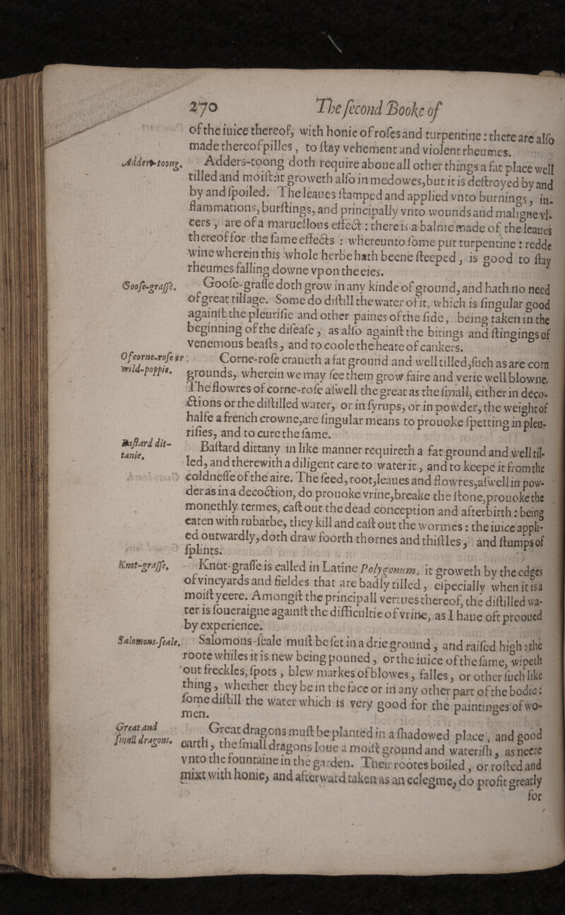 Goofè-grajJèt oftheiuice thereof, with honie of roles and turpentine : there are alfo made thereof pilles, to flay vehement and violent rheumes. uJ iden-toong, Adders-toong doth require abone all other things a fat place well tilled and montur groweth alfo in medowes,but it is deftroyed by and ano ipoiled. I he leaues fcarnped and applied vnto burnings, in- flammations, burllings, and principally vnto wounds and maligne vl- eers, are of a maruellons effeef : therein a balme made of the&ieaues thereo.ior the lame effects : whereunto home put turpentine : redde wine wherein this whole herbe hath beenefteeped, is «ood to lhv rheumes falling downe vpon theeies. *0 y Goofe-grade doth grow inany kindeof ground,and hath no need Oi great ullage. Some do dirtiîl thewater of it, which is Angular good againttihe pleurifie and other paines ofthe hde, being taken in the beginning of the difeafe, as alio againrtthe biungs and rtingingsof venemous bealts, ano to coole the heate of cankers. °lliTrJ*n : Corne-rofe craueth « fat ground and well tilled,fuch as are corn P 'PPI,‘ grounds, wherein we may leethem grow faire and veric wellblowne. iheflowres of corne-rofe afwell the great as the f inal!, either in deco- étions or the diltilled water, or in fyrups, or in powder, the wei°htof halfe a french crowne,are lingular means to prouoke fpetting in plen- rifies, and to cure the fame. - ‘ or Baitard dittany in like manner requireth a fat ground and well til¬ led, and therewith a diligent care to water it, and to keepe itfromthe coldnene of the aire. The Iced, root,leaues and flowres,afwell in pow- deras in a decoôtioo, do prouoke vrine,brcake the itone, prouoke the monethly-termes, caft out the dead conception and afterbirth : being ’ ca.ten WIt 1 j'ubarbe, they kni and caft out the wormes : the iuice appli- cu outwardly, doth draw foorth thornes and thirties,' and flumps of Lnot-gralle is called in Latine Polygonum, it groweth bv the ecte£< of vineyards and fieldes that are badly tilled, eibecialiy whenitisa rnoilt yeere. Amongfl the principall vertues thereof, the drilled wa¬ ter is foueraigne againfl the difficultie of vrine, as I haue oft prooued by experience. Saiomons-feak. Saiomons-feale mull be let in a drie ground, and raifed hi«h • the roote whiles it is new being penned, onhe iuice ofthefame wipeth out freckles, (pots , blew markes of blowes, faites, or other luch like t.ang, \v ether they oe in the face or in any other part ofthe bodie : iomediftill the water which is very good for the painringes of wo- tssU «**■ ***** eartn \ th5 *maU argons loue a moirt ground and watenfh. as neere vnto t le founttune in the garden. Their rcotes boiled, or rolled and nuxt with home, and afterward taken as an eclegmc, do profit greatly ' for 9aflari dit- tanic, * v '■ J rU' KttQt~gtaffe,