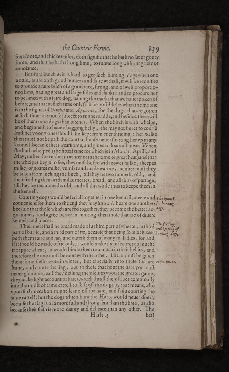 the Cemtrie Fame. H9 fbxcfoote,and thickenailes, doth (ignifie thathehathnofatorgouty « foote, and that he hath itrong Iims, to runtie long without griefc or |i;| annoiance. , m But foralmuch as it is hard to get fuch hunting dogs when one •ill would, a>are both good hunters and faire withal!, it will be requifte I to Prot,*Qe a faire bitch of a good race, flrong, and ol well proportio- a K n£d Iims, hailing great and large fuies and flanks : and to procure her hi to be Lined with a taire dog, hauing the marks that we haue Ipoken of •s'S before,and that at inch timeonly(ilitbepo!nbIe)as when themoone ,'1 is in the lignes of Gemini and Aquarius , for the dogs that are gotten ' j at fùch times arc not fo fubieft to runne madde,and befidcs,there will 1» be of them moe dogs than birches. When the bitch is with whelpe, |*’l and beginneth to haue a bagging belly, (he may not be let tocourlè lead: her yoong ones fhotild be kept from euer thriuing : her walke then mud not be pail the court or houfc,neuer (hurting her *p in any kennell, becaule fiieis wearifome,and guien to loach all meat. When (lie hath whelped (the fitted time for which is in March, April!, and May, rather then either in winter or in the time of great heat)and that k the whelpcs begin to iee, they muft be fed with cowcs milke, (heepes » milke, orgoates milke, vnmistand madewarme, neither mud they f be taken from fucking the bitch , till they be two moncchs oid, and then feeding them with milke meates, bread, and all forts of pottage, till they be ten morseths old, and all this while thus to keepe them m the kennell Courfing dogs would be fed all together in one kennell, raeete and The kenmi conuenient for them,to the en^ they may know Sc heare one another: fir hunting becaufe that thole which are fed together,they become the better ac- ^9Sfr ■ quainted, and agree better in hunting then thole that arc of diuers kennels and places. ■ Their meat dial! be bread made o fa third part ofwheate, a third IndiFpiFo parr of barlie, and a third part of rie, becaufe that being fo rnixt it kee- hunting digs, ' peth them faire and fat, and cureth them ofmany maladies : for and i if it fbould be made of ne only,it would make them fcourecoo much : if of pure wheat, it would binde them too much in their bellies, and therefore theone muff be mixt with the other. There mud be giuen them fomc flelh meate in winter , but efpecially vmo thole that are hleji leane, and cour(e the (tag : but to thofe that hunt the hare you mud neuer gitie aniejeaft they defiling themfclucs vpon the greater game, they make light account of hares,which shruif themfclues cqmmomly into the midd of tame cattell,co fhife oid'the dogs by that means,who vpon fuch occafion might leaue off the hare, and fail a courfing the tame cattdljbutthe dogs which hunt the Hart, would neuer doeir, becaufe the dag is ofa more full and drong lent than the hare, as alfo bccaufe their fielh is more dainty and delicate than any other. T he Hhh 4 bed O