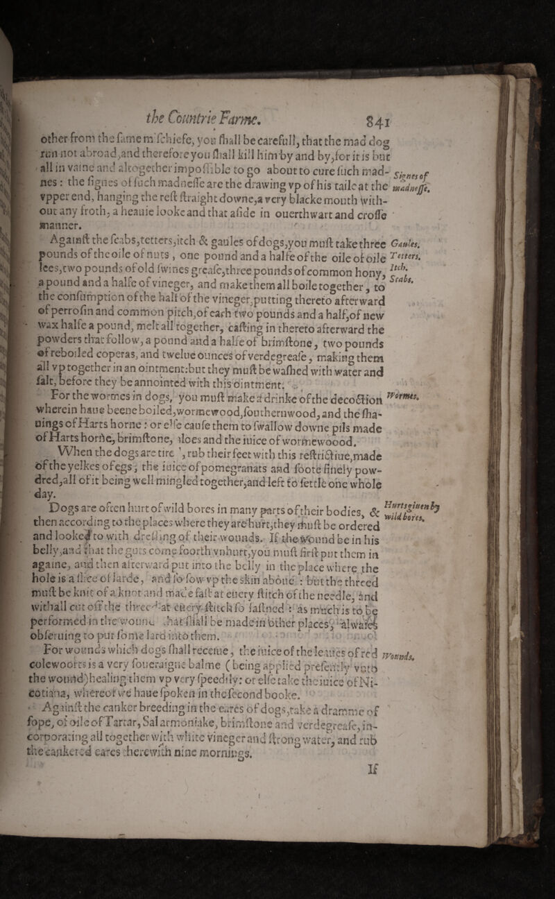 S41 other from tbs fame mTchiefe, you find! be care full, that the mad dog ! ' run not abroad .and therefore you fliall kill him by and by,for it is but all in vaine and altogether impofftble to go about to cure ftich trad- war - nes : the lignes of inch madneffe arc the drawing vp of his tailcat the ZdmL vpper end, hanging the reft ftraight downe,a very blackc mouth With¬ out any froth, a heauie lookcand that afide in ouerthwart and crofle ' manner. ' - I Agausft the (cabs,tetters,itch & gaules of dogs,you muff cake three Gnuks, pounds of theoile of nuts, one pound anda halfeofthe oileofode Taters• Ices,two pounds of old 1 wines greafe, three pounds of common hony, l“kt a pound and a halfc of vineger, and make them all boile together, to i the confumpticncfthe hall of the vineger,putting thereto afterward of perrofm and common pitch,of cash two pounds and a half,of new P wax halfe a pound, melt all together, cafting in thereto afterward the powders that rollo w, a pound and a halfe of bnmftone, two pounds I of reboiled coperas, and twelue ounces of verdegreafe » making them ail vp together in an dintment:but they muft be wafhed with water and fait, before they be annointed with this ointment. ■ - For the wormes in dogs, you muft make ddrinke ofthc decoaion mrmts' - wherein hang beene Doiied,wor®ewood,foutheruwood, and the fha- uings cfHarts borne : or elfe caufe them to fwallow downc pils made of Harts horde, brimftone, vices and the iuicc of wormewoood. When the dogs arc tire rub their feet with this reftriaiue,made oftheyelkesofcgs, the iuiceofpomegranats and foote finely pow- dred,all of it being well mingled together,and left fbfettlè onewhole ‘day. . ; £3 1 Dogs are often hurt of wild bores in many parts oftheir bodies, & Uur'sjf,u,*h a': tiCCOiding to die places where they are hurt,they rfvuft be ordered and lookejf to with drcüing of their wounds. If dve Wound be in his belly,aad that the guts corns foorth vnhnrt,you moft firft put them in againe, and then afterward put into the belly in the place where the hole is a fîâce of larde, and ib-fow vp the skin abêtie *: but the threed muft be knit of a knot and made fall at euery ftifch of the needle And witbàll cm«• j — performed put For wounds which dogs (hall receiue, the i nice of the letnes of red munis, colcwoorcs is a very foueraigne balme ( being applied prefem’v vn;o the wotKld)healing them vp very (peedilv; oreelfetake theiuiceofNi- ' cotiaina, whereof we haue fpoken in the fécond booke. ' Againfl the canker breeding in the eurcs of dogs,rake a dram me of a». ÇaI l___^ ? 1 then If