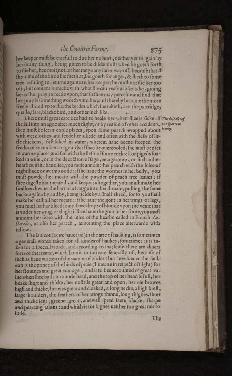 the Comtrie Panne. » her keeper muff be careful! to doc her no hurt, neither yet to gainfay her in any thing, being giuen tobedifdainfull: when he goeth forth to flie her, hee muftnot let her range any faite way off, becaufe that if (he mifle of the birde (he flieth at,(he goeth for anger, & flieth to fomc tree, refilling to returne againe to her keeper: he muff not flie her too oft, but content himfeife with what Die can reafonab'ie take,giuing her of her pray to feede vpon,that fo Ihee may perceiue and find that her pray is fomethmg woorth vnco her,and thereby become the more freely ftirred vpto flierthebirdeswhich fbecaketh, are theparcridge, quaile,ffare,blacke bird, and other fuch like. «- There muff great care bee had toheale her when Ihee is ficke :i£ The drafts tf Ihe fall into an ague after much flight, or by realbn of other accidents, fhee muftbefetin code places,vpon fbme pearch wrapped about with wet clothes,and feede her a little and often with the tflefh of lit¬ tle chickens, firftfoked in water, wherein haue beene fteeped rhe feedes of cucumbers or gourds: if fhee be ouercooled, flie a&uft bee let in warme places,and fed with the flelli of lome cockrell or pigeos foa- ked in wine, or in the decodiion ©ffage, margerome, or fuch other hearbes:iffliihauelice,you muff annoint herpearch with the iuiceof nightfliade or wormwoode : if fhe haue the wormes in her belly, you muff powder her meate with the powder of peach tree leaues : if fhee digefteher meate ill,and keepe it altogether, you muff make her fwallow downe the hart of a l rogge into herthroate, pulling the fame backe againe by and by, being helde by afmall thred, for lo you (hall make her caff all her meate : if fhe haue the gout in her wings or legs, you muff let her bleed fome fewe dropsofbioude vpon the veinethat is vnder her wing or thigh: if fhee haue the gout iti her foote,you muff annoint herfeete with the iuice of the hearbe called in French Le~ Uorelle, as alfo her pearch , annointing the place afterwarde with tallow. The faulcon(as we haue laid)in the arte of hauking, is fometimes agenerall words taken for all kindes-oi haukes, fometimes it is ta¬ ken for a fpcciall worde, and according tothatfenfe there are diuers forts ofthat name, which I omit to intreate feueraliy of, becaufe of fuch as haue written of the nature of birdes :but hovvloeuer the faui- con is theprince of thebirds ofpraie (I meane in refpedf of flight) for her ftoutnes and great courage , and is to bee accounted o'-great va¬ lue when fhee hath a rounde head, and the top of her head is full, her beake fh^rt and thicke, her noffrils great and open, her eie browes high and thicke, her eies great and cloaked, a long necke,a high breft, large fhoulders, the feathers of her wings thinne,long thighes, fhort aad thicke iegs ,greene, great, and well fpred feete, blacke, fliarpe and pearcing talons : and which is for bignes neither too great nor to little, •  ' ' • j