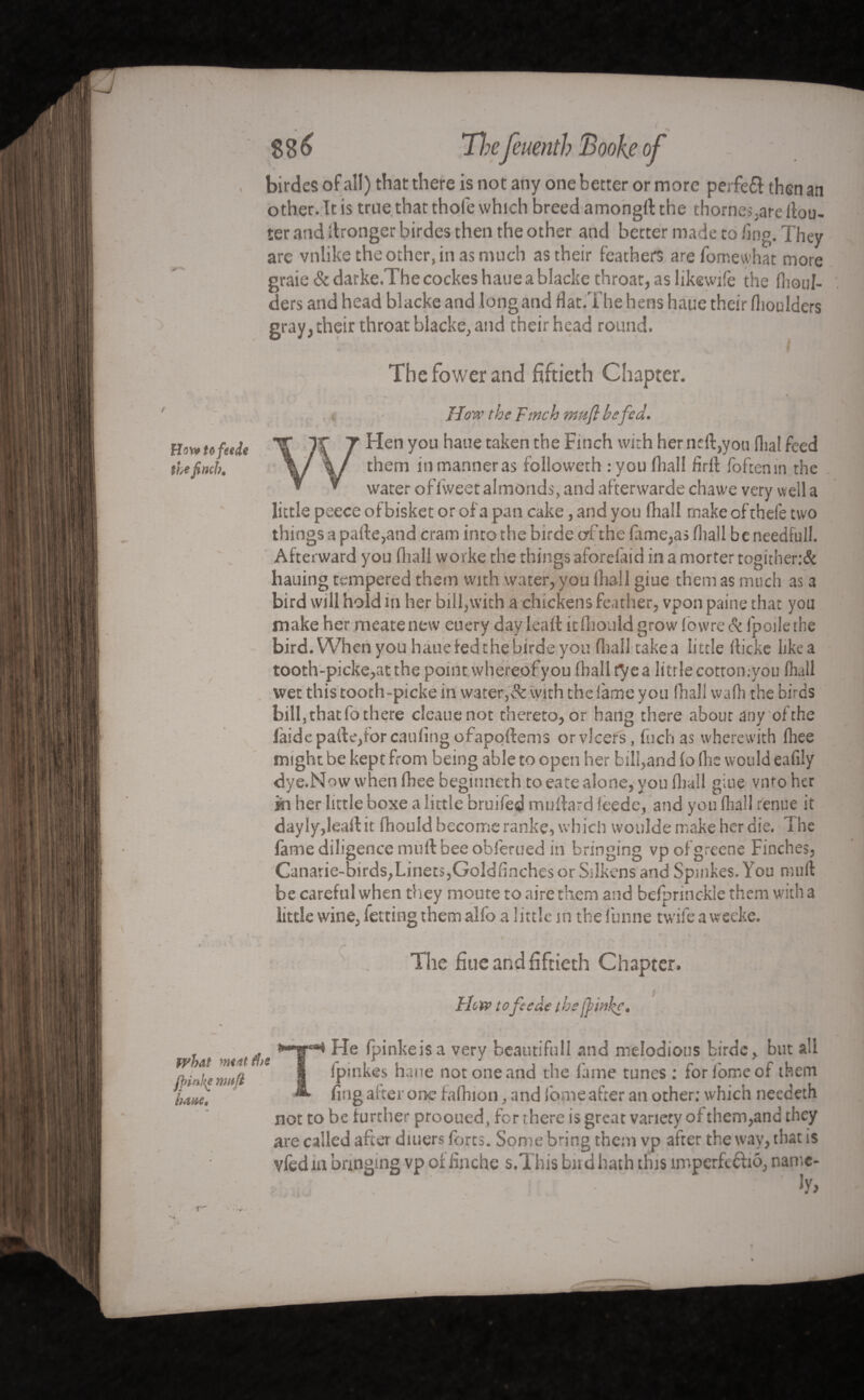 $8^ f to feede the finch. f birdes of all) that there is not any one better or more perfefl then an other. Tt is true that thole which breed amongrt the thornes,are limi¬ ter and rtronger birdes then the other and better made to ling. They are vnlike the other, in as much as their feathers arefomewhat more graie & darke.The cockes haue a blacke throat, as likewife the fiioul- ders and head blacke and long and flat.The hens haue their flioulders gray, their throat blacke, and their head round. Thefowerand fiftieth Chapter. How the F;nch rnnfi hefed. WHen you haue taken the Finch with herndl,you flia! feed them in manner as followeth :you fnall iiril foftenm the water oflweet almonds, and afterwarde chawe very well a little peece of bisket or of a pan cake, and you fhall make of thefe two things a patle,and cram into the birde of the fame,as lhail b e needfull. Afterward you dial} worke the things aforefaid in a morter togither:& hauing tempered them with water, you lhail giue them as much as a bird will hold in her bill,with a chickens feather, vpon paine that you make her meatenew euery day lead itlhouldgrow fowre& fpoilethe bird. When you haue fed the birds you fhall take a little llicke like a tooth-picke,atthe point whereof y ou fhall rye a litrle cotromyou fhall wet this tooth-picke in water,& with the lame you fhall vvafh the birds bill,thatlothere cleauenot thereto, or hang there about any ofthe (aidepade,for cauling ofapoftems orvlcers, fhch as wherewith fhee might be kept from being able to open her bill,and fo lbs would eafily dye.Now when fhee beginneth to eate alone, you fliall giue vnfo her in her little boxe a little bruifed murtard feede, and you fliall renue it dayly,leartit fhould become ranks, which wotilde make her die. 1 he fame diligence mull bee obferued in bringing vpofgreene Finches, Canarie-birds,Linets,GoldfinchesorSilkensand Spinkes.You mull be careful when they moute to aire them and befprinckie them with a little wine, fetting them alfo a 1 ittle in the funne twife a we eke. The fine and fiftieth Chapter. How to feede the finkc. THe fpinkeisa very beautifull and melodious birde, but all fpmkes haue not one and the fame tunes : forlomeof them fing al ter one fafhion, and Ibme after an other: which neeceth not to be Further prooued, for there is great variety of them,and they are called after diuers forts. Some bang them vp after the way, that is vfedia banging vp offinche s.This bud hath tins împerfcfhô, name- f Hm to feede the finch. f Jy,