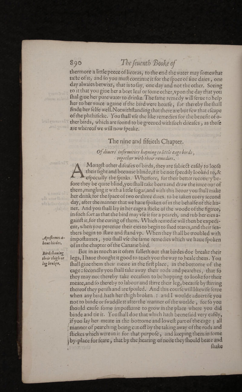 / -v 1 vdpofîemes â- bout brides, Bkdshauing th?ir thigh or kg broke». r \ « 8^0 1 befrnentb Tmke of -y thermorc alittlepeeccoflicoras, to the end the water may fomewhat taite otit, and fo you mult continue it for thefpaceoffiue daies, one day alwaies betwixt, that is to fay, one day and not the other. Seeing to it that you giue her a beet lea? or fome other,vpon the day that you flial giue her pure water to drinke. The fame remedy will ferue to help her to her voice againe if the bird were hoarfè, for thereby Hie (hall finde her lelle well.Notwithllanding that there are but few that clcape of the phthificke. You (hall vie the like remedies for the benefit ofo- ther birds, which are found tobegreeued with fuch diieafes, as thole are whereof we will now (peake. ► • . - t The nine and fiftieth Chapter. - * , y ** - > » * >■ . : - • * ‘ ' Of diners infirmities bapninç to little cage birds, together with their remedies. - Mongft other diieafes of birds, they are fubieft eafily to loole their fight and become blinde,if it be not fpeedily looked to,& eipecially thefpinks. Wherfore, for their better recouery be¬ fore they be quite blind,you fhall take beets and draw theiuiceout of them,mingling it with a little fugar,and with this licour you (hall make her drink for the fpace of two or three dales, to be taken euery lecond day, after the manner that we hauefpoken of m the behalfe of the lin¬ net. And you lhall lay in her cage a iticke of the woode ofthe figtree, in fuch fort as that the bird may vie it for a pearch, and rub her eiesa- gainft it,for the curing of them. Which remedie will then be expedi¬ ent, when you perceiue their eies to begin to Hied teares,and their fea¬ thers begin to Hare and Hand vp. When they fhallbe troubled with impoftumes, you fhall vie the lame remedies which we haue fpoken of in the chapter ofthe Canarie bird. But in as much as it often fallethout thatbirdesdoe breake their legs, I haue thought it good to teach you the way to healethem. You fiiall giue them their meate in the firll place, in thebottome of the cage : lécondly you fiiall take away their rods and pearch es, that fo they may no: thereby take occalion to be hopping to looke for their meate,audio thereby to labour and itirre their leg,becaufe byftirring thereof they penlh and are Ipoiled. And this courfe will likewife ferue when any bird hath her thigh broken : and I wouldeaduertifeyou not to bindeorfwaddleitafterthe manner of theworlde , forfo you fhould caufe fome impoltume ro grow in the place where you did binde and tie it. You fiiall doe that which hath beenefaid very eafily, ifyoulayher meate in the bottome and Iowetf part of the cage ; all ; manner of pearching being cut off by the taking away ofthe rods and [ ftickes which were in it for that purpofe, and keeping them in lome i by-place for fieare, that by the hearing of noile they fhould beate and fiiake